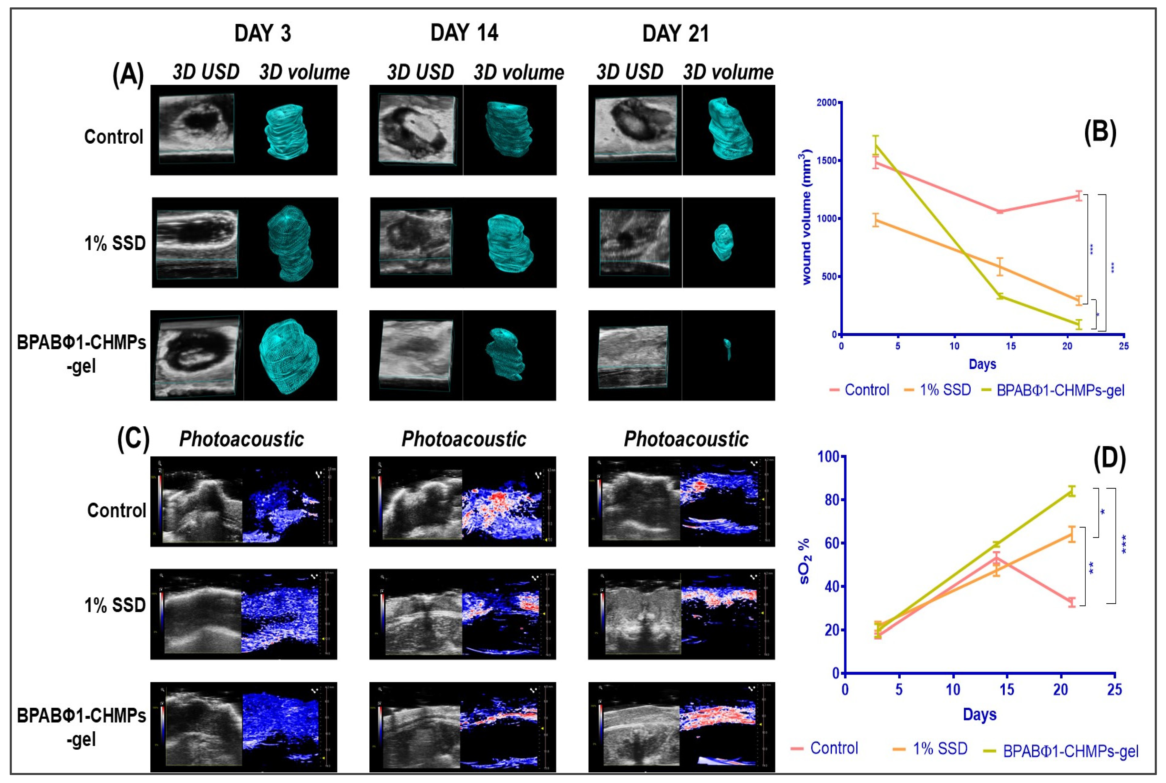 Pharmaceuticals 16 00942 g005