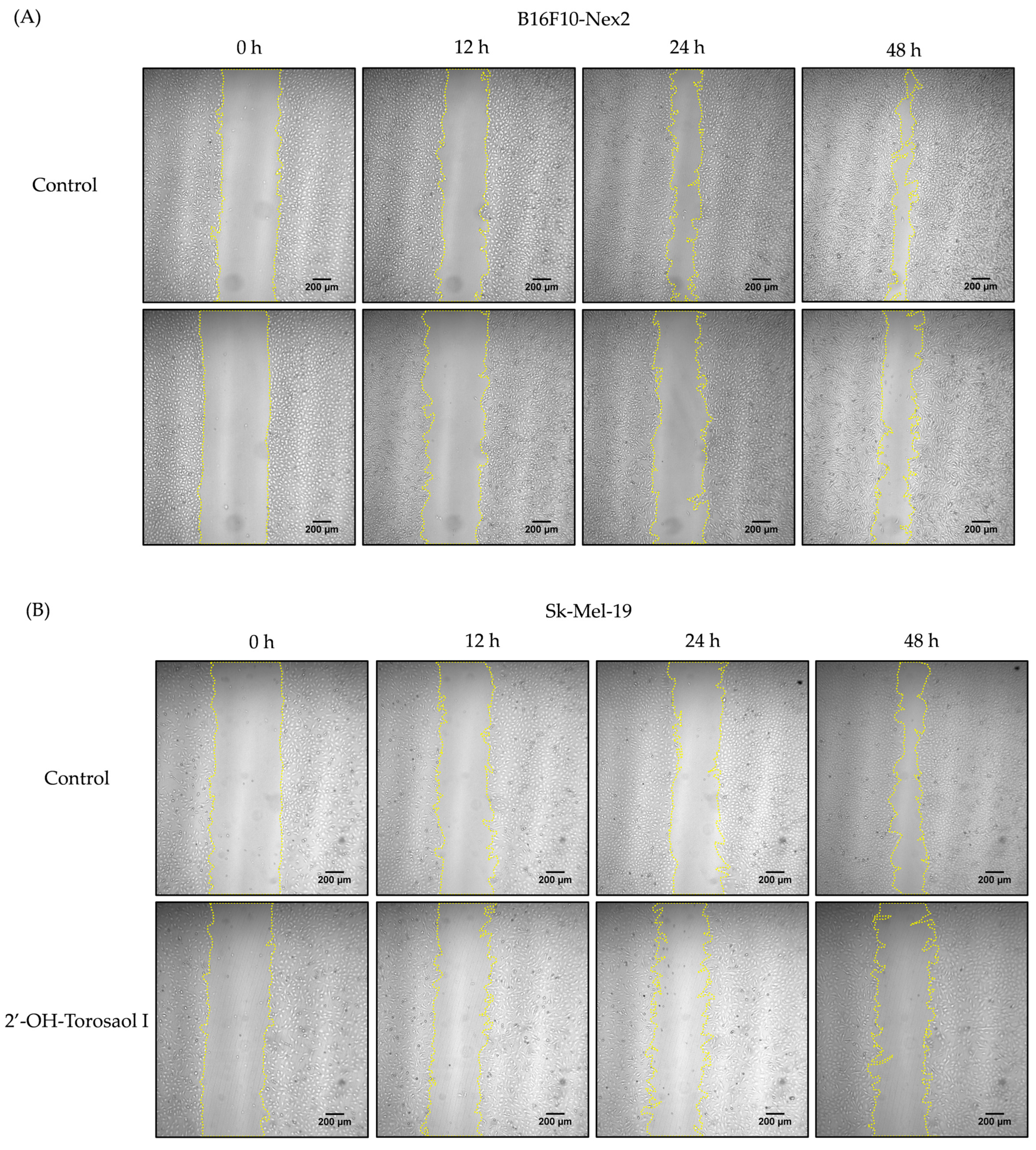 Pharmaceuticals 16 00951 g003a