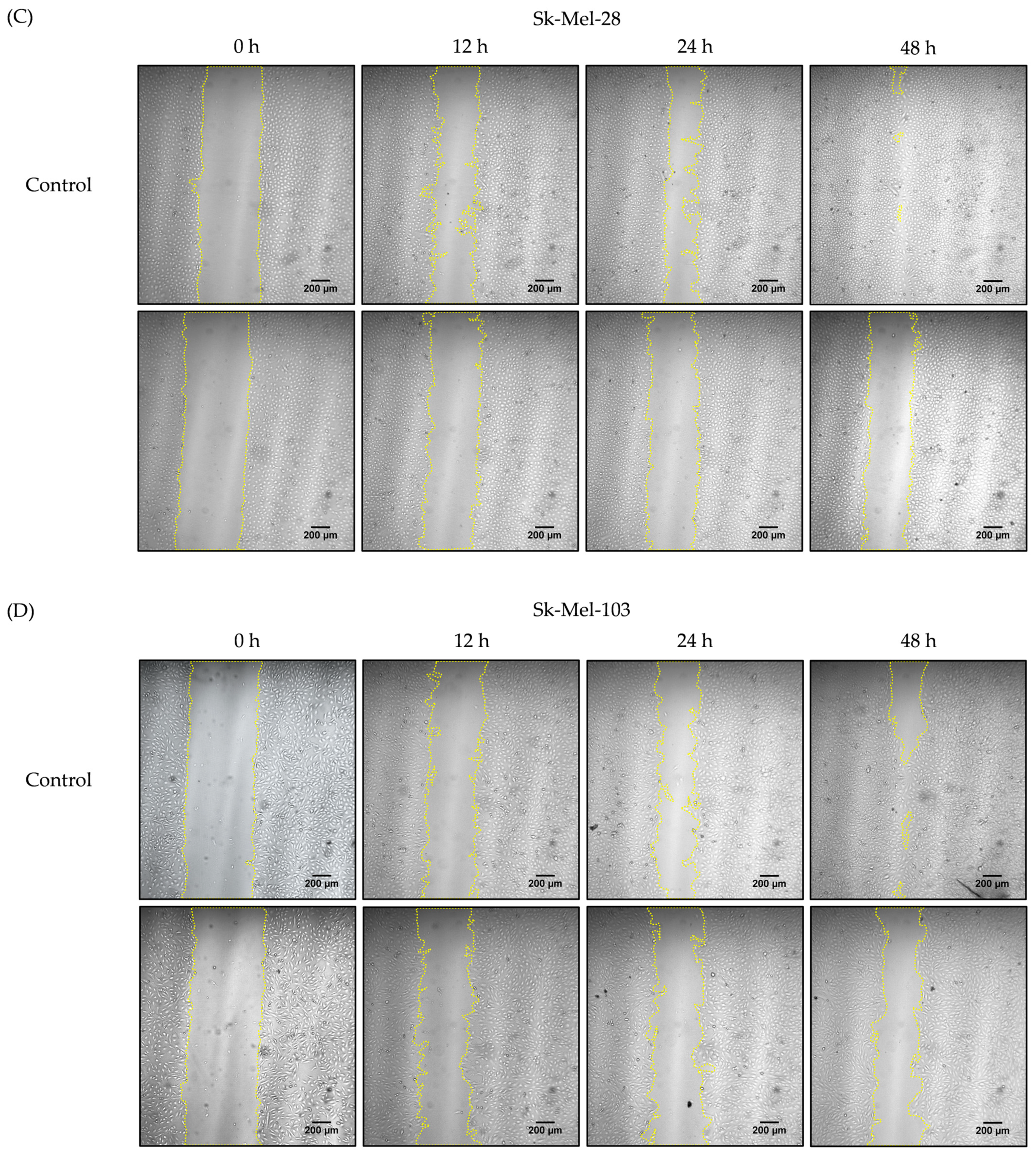 Pharmaceuticals 16 00951 g003b