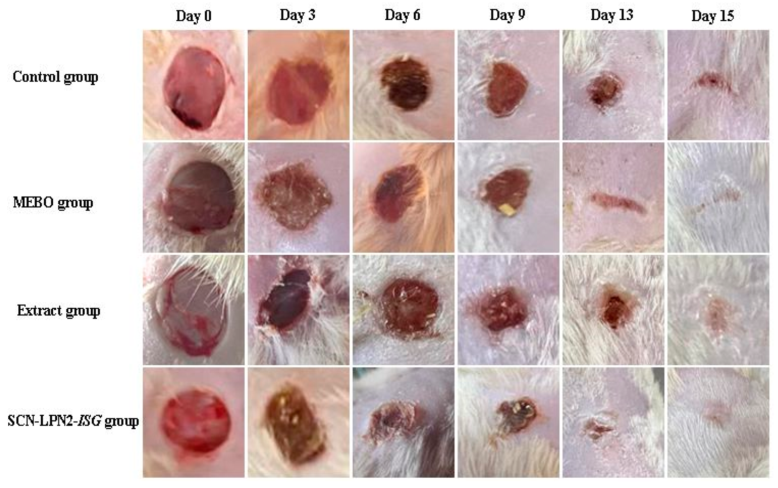 Pharmaceuticals 16 00957 g007 Pharmaceuticals 16 00957 g007