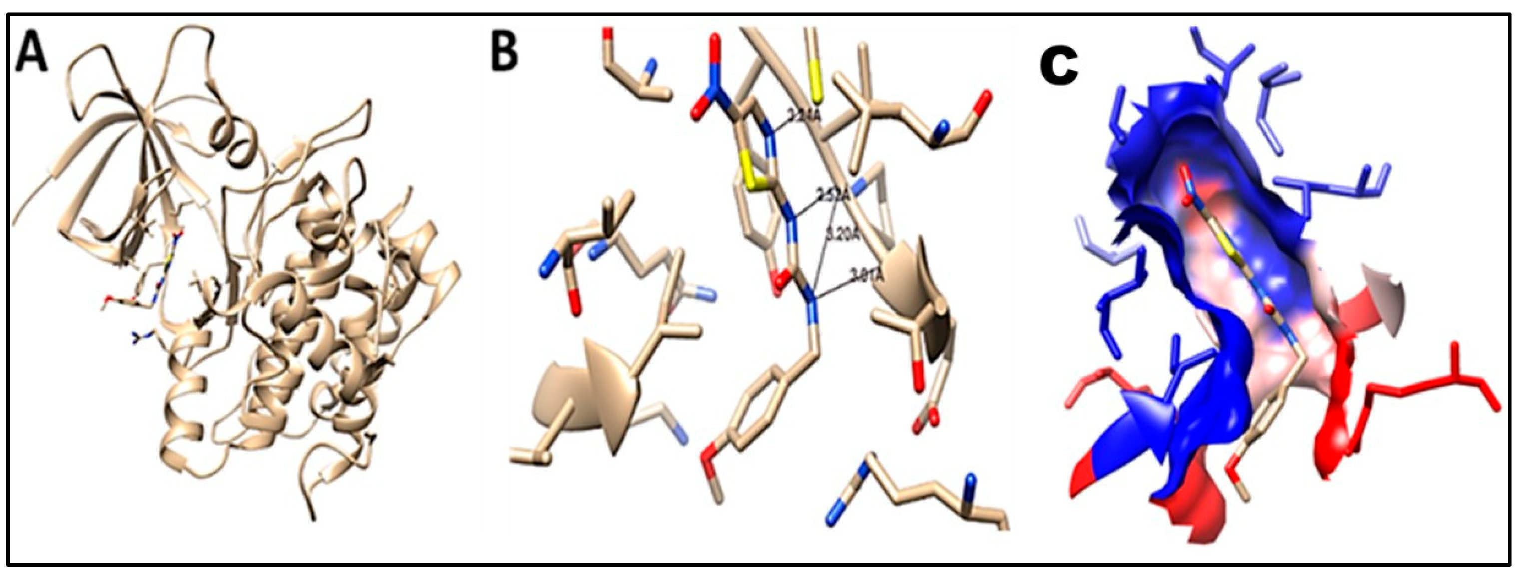 Pharmaceuticals 16 00957 g012 Pharmaceuticals 16 00957 g012