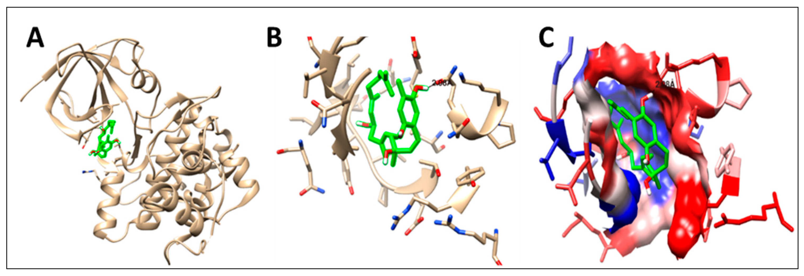 Pharmaceuticals 16 00957 g013 Pharmaceuticals 16 00957 g013