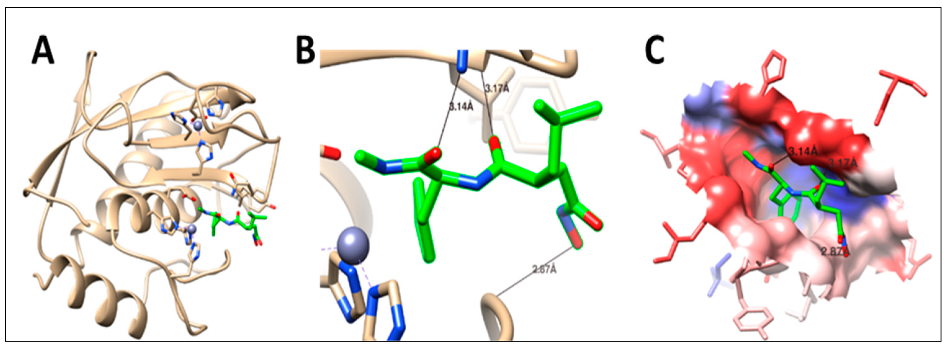 Pharmaceuticals 16 00957 g014 Pharmaceuticals 16 00957 g014