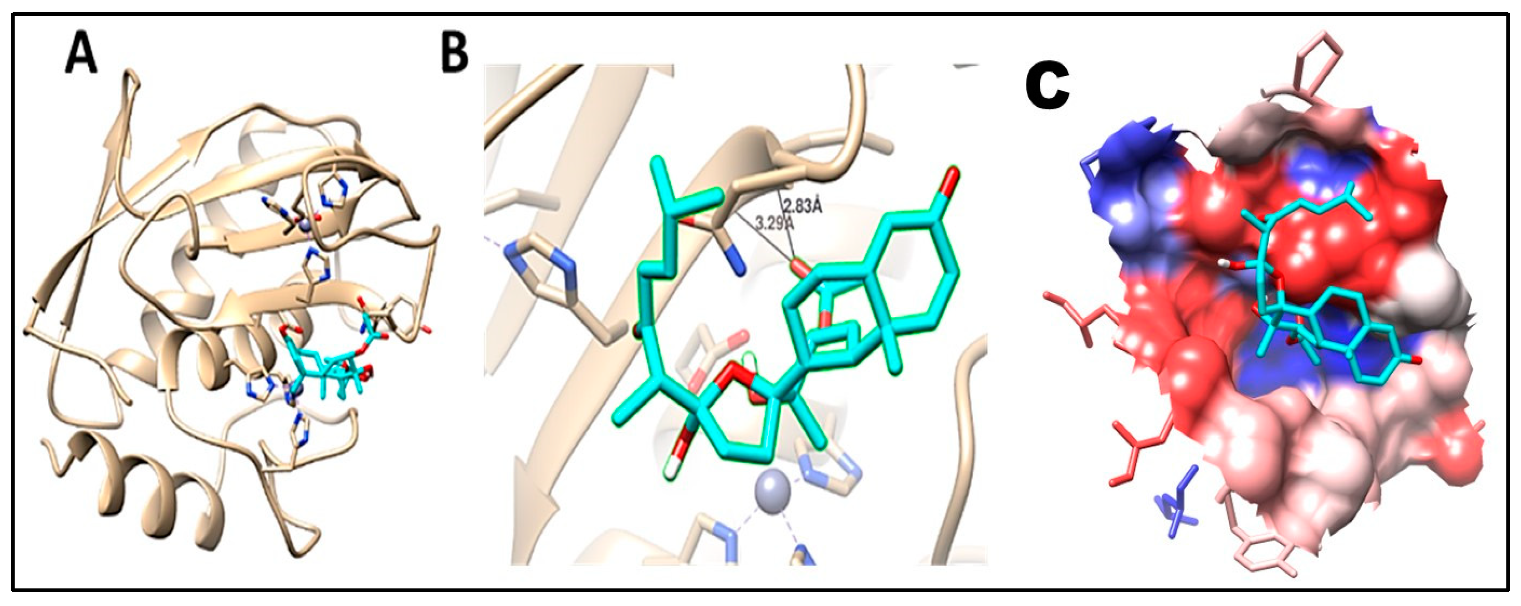 Pharmaceuticals 16 00957 g015 Pharmaceuticals 16 00957 g015