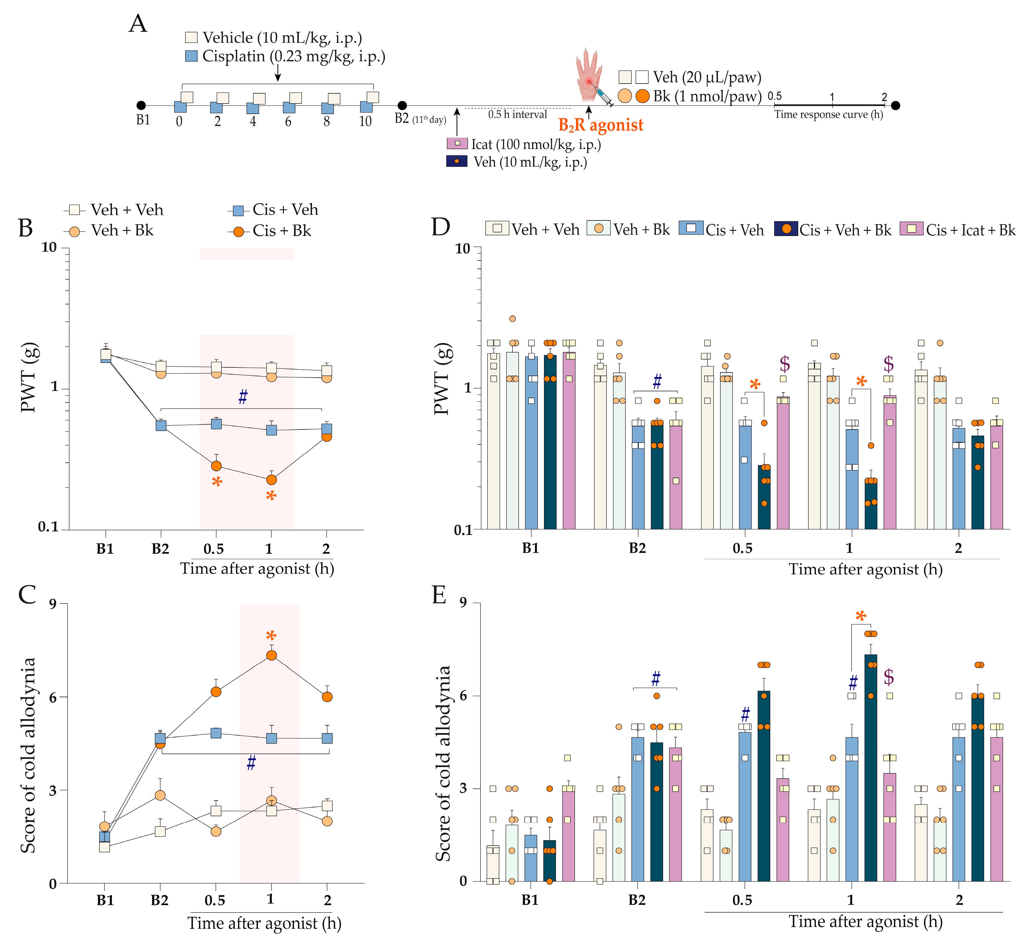 Pharmaceuticals 16 00959 g003 Pharmaceuticals 16 00959 g003