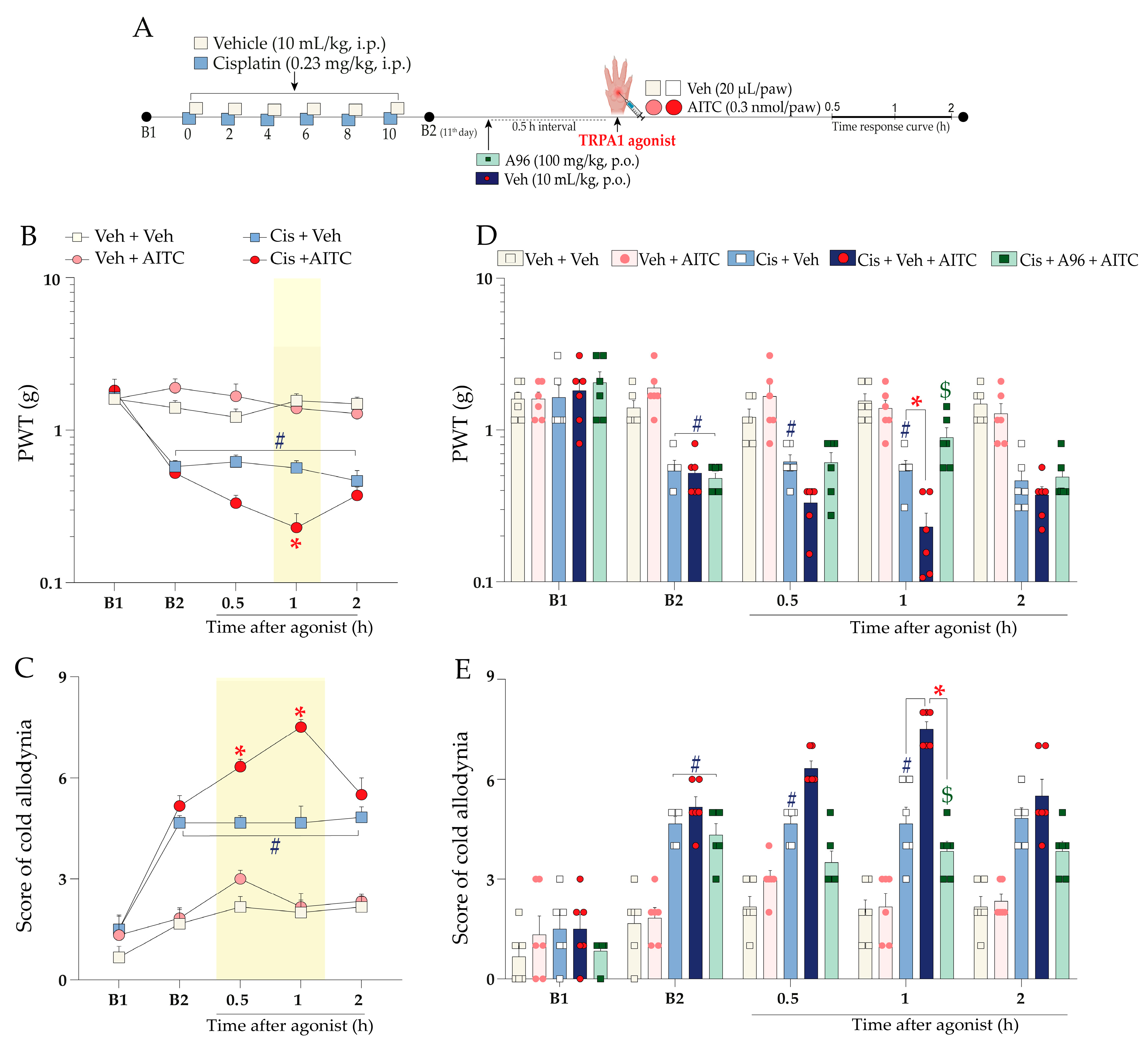 Pharmaceuticals 16 00959 g004 Pharmaceuticals 16 00959 g004