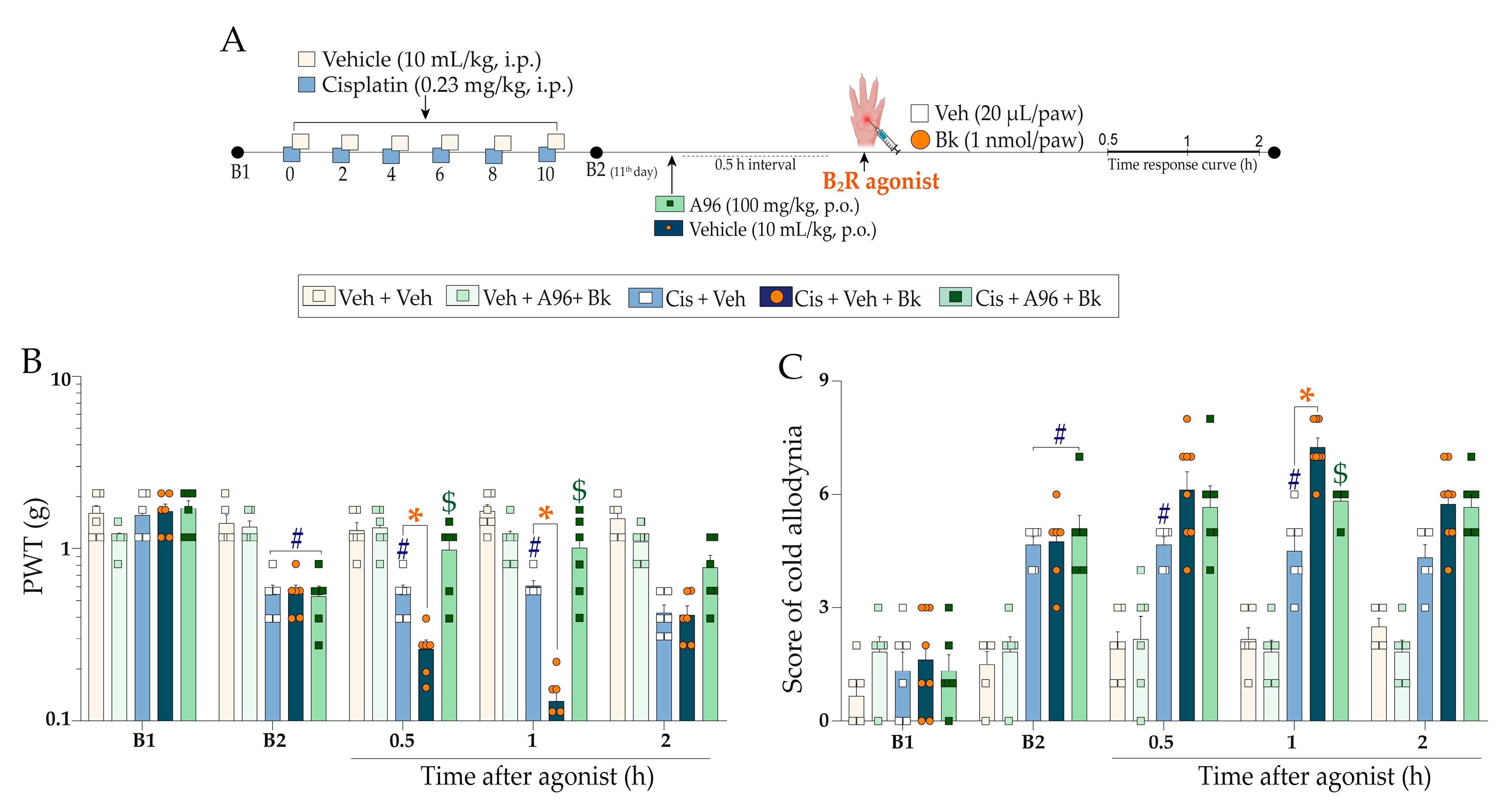 Pharmaceuticals 16 00959 g005 Pharmaceuticals 16 00959 g005