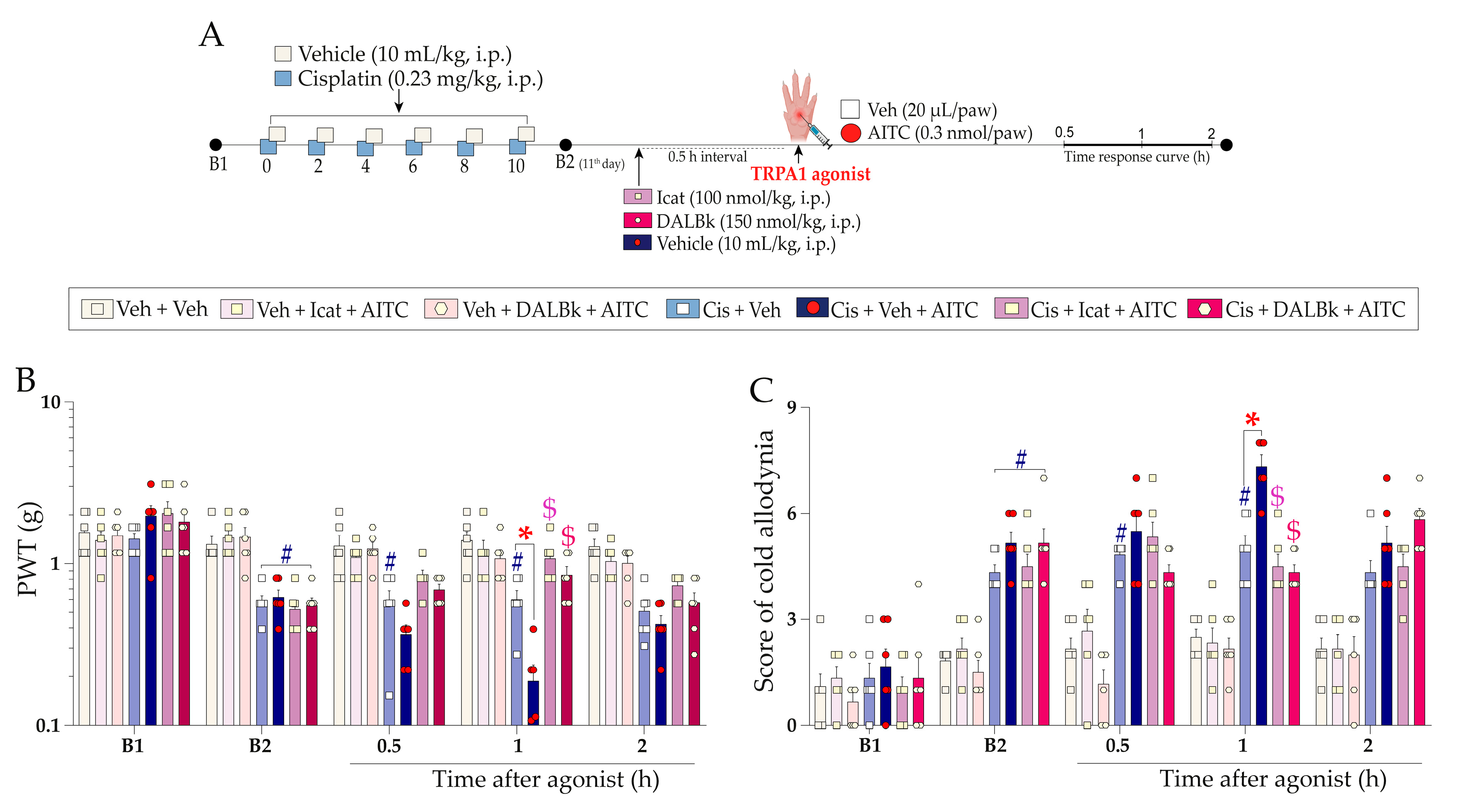 Pharmaceuticals 16 00959 g006 Pharmaceuticals 16 00959 g006