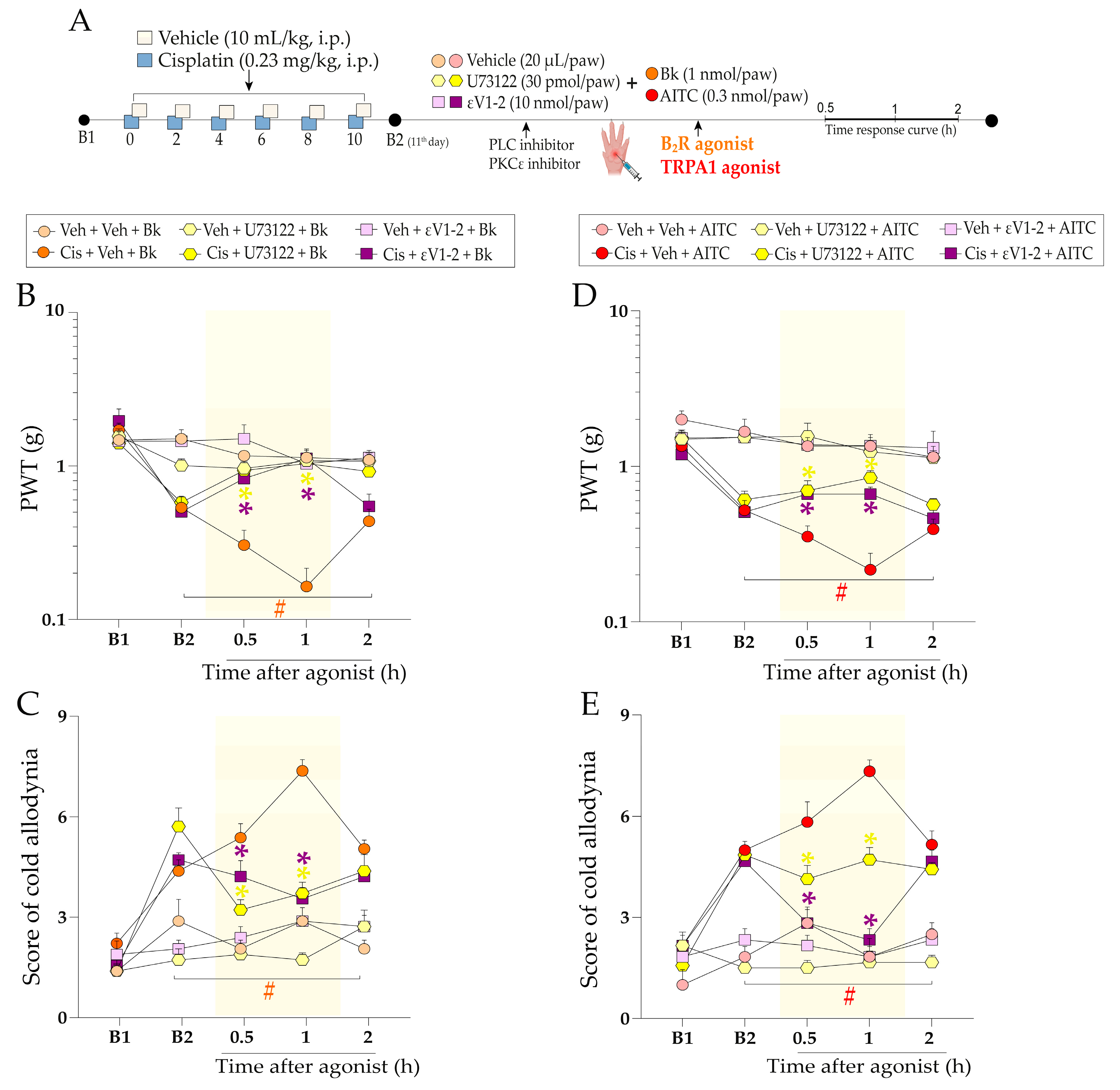 Pharmaceuticals 16 00959 g007 Pharmaceuticals 16 00959 g007
