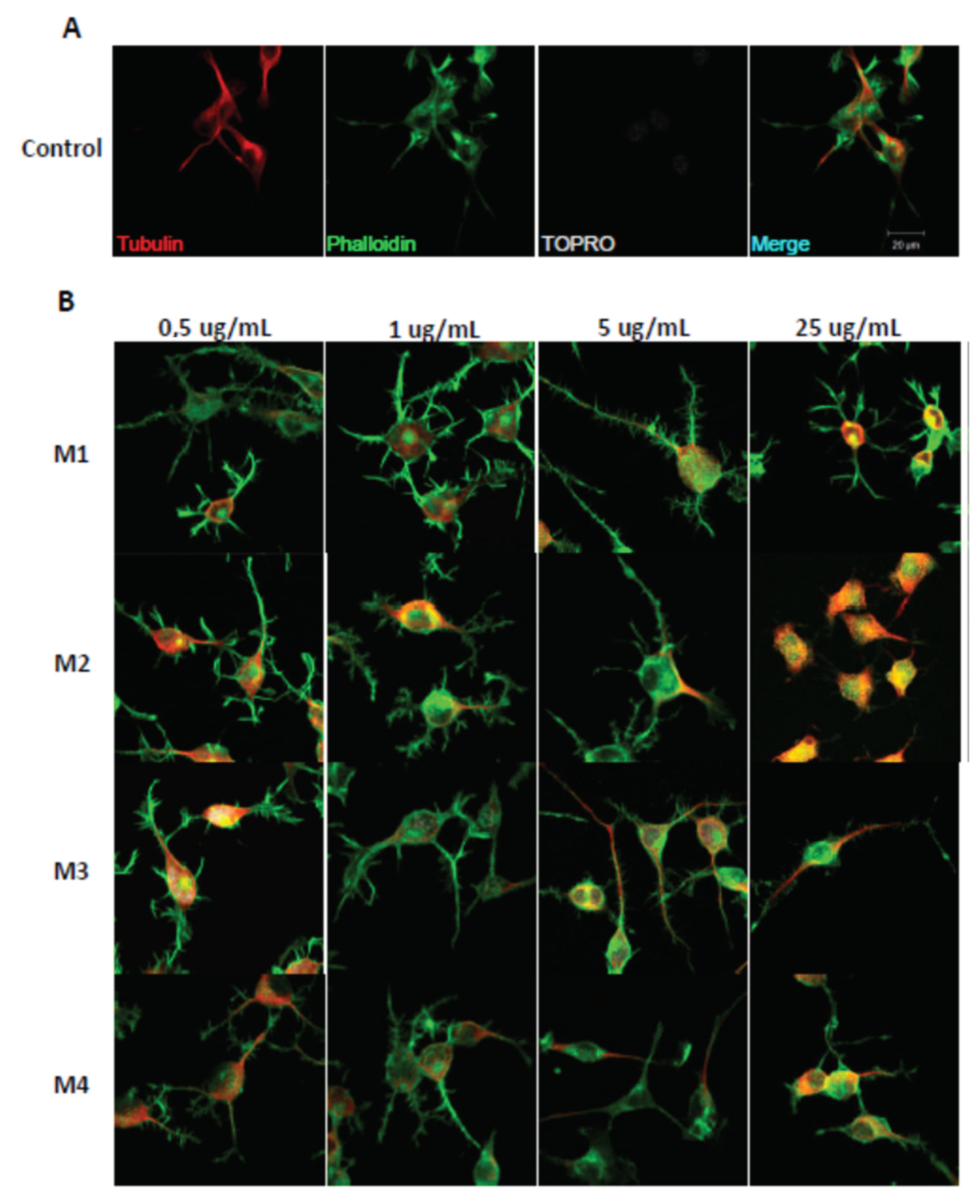 Pharmaceuticals 16 00960 g003 Pharmaceuticals 16 00960 g003