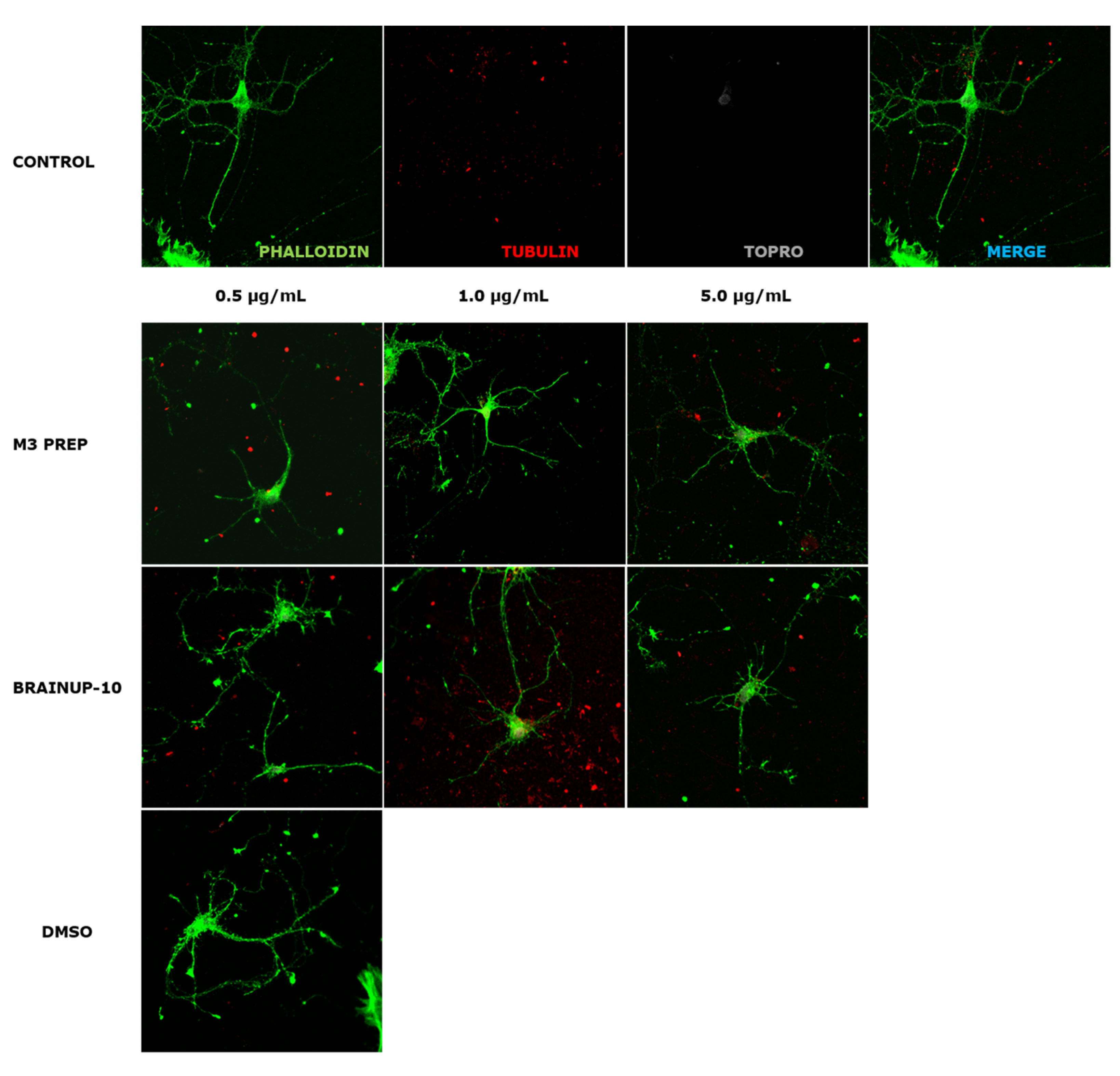 Pharmaceuticals 16 00960 g008 Pharmaceuticals 16 00960 g008