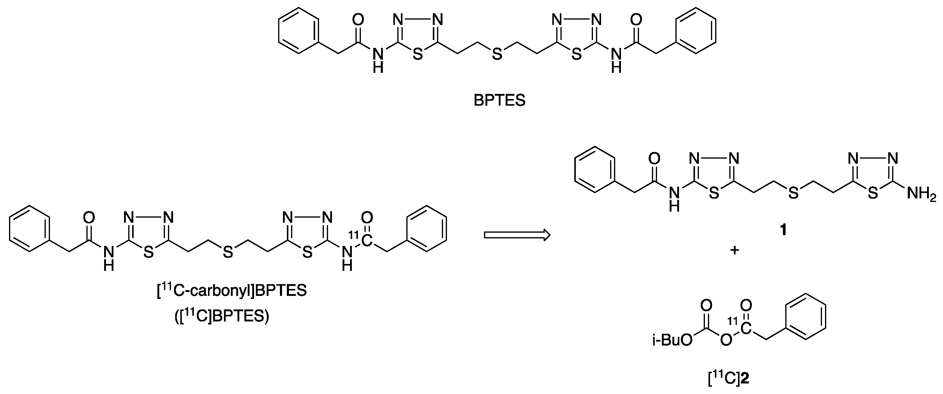 Pharmaceuticals 16 00963 g001 Pharmaceuticals 16 00963 g001