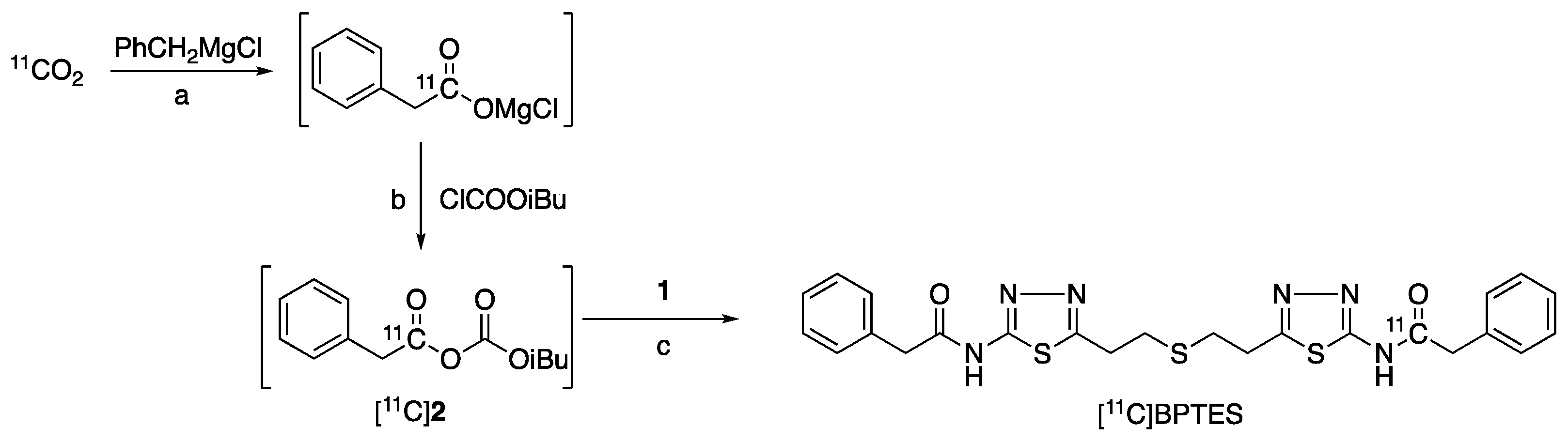 Pharmaceuticals 16 00963 g003 Pharmaceuticals 16 00963 g003