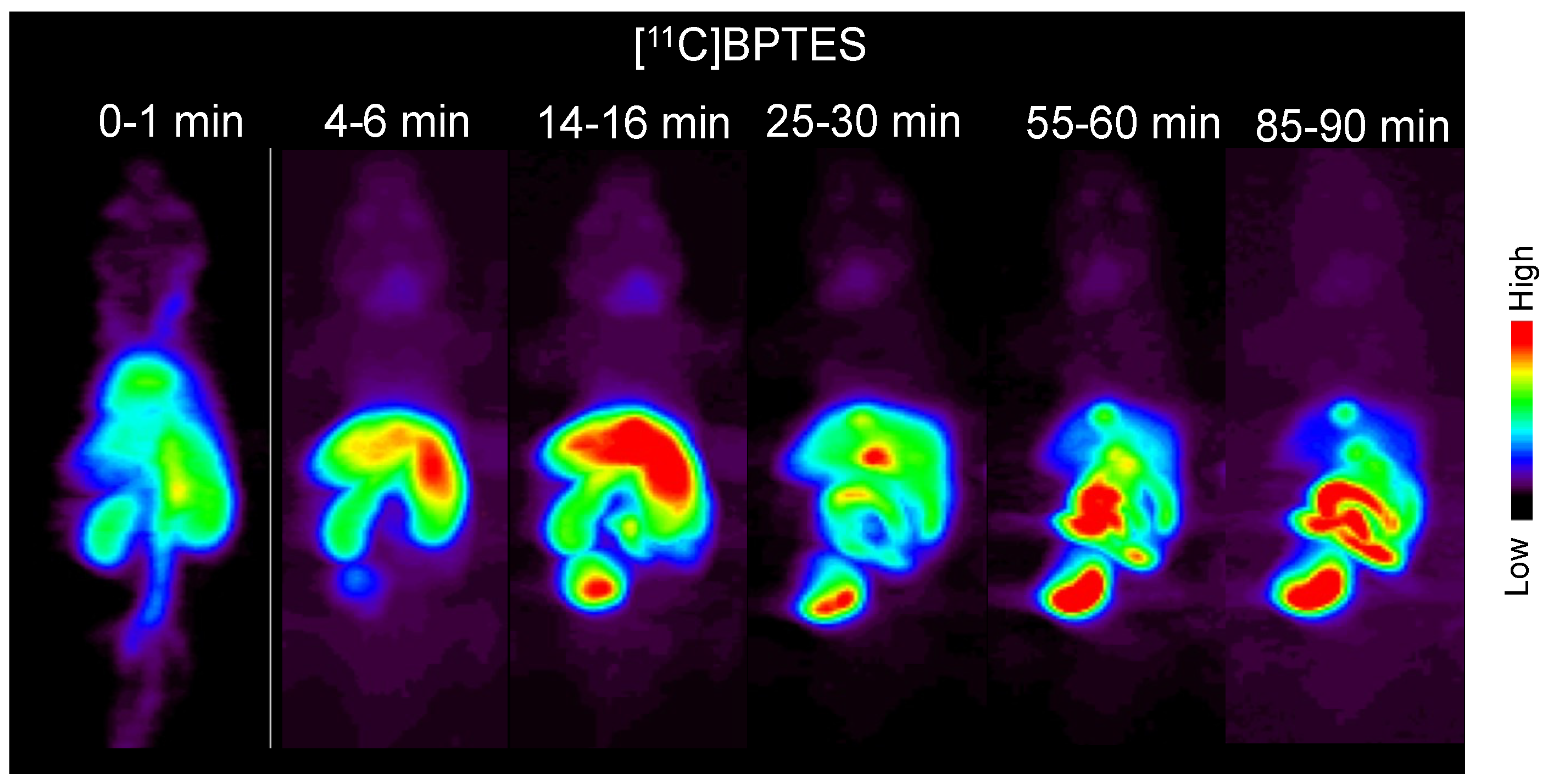 Pharmaceuticals 16 00963 g005 Pharmaceuticals 16 00963 g005