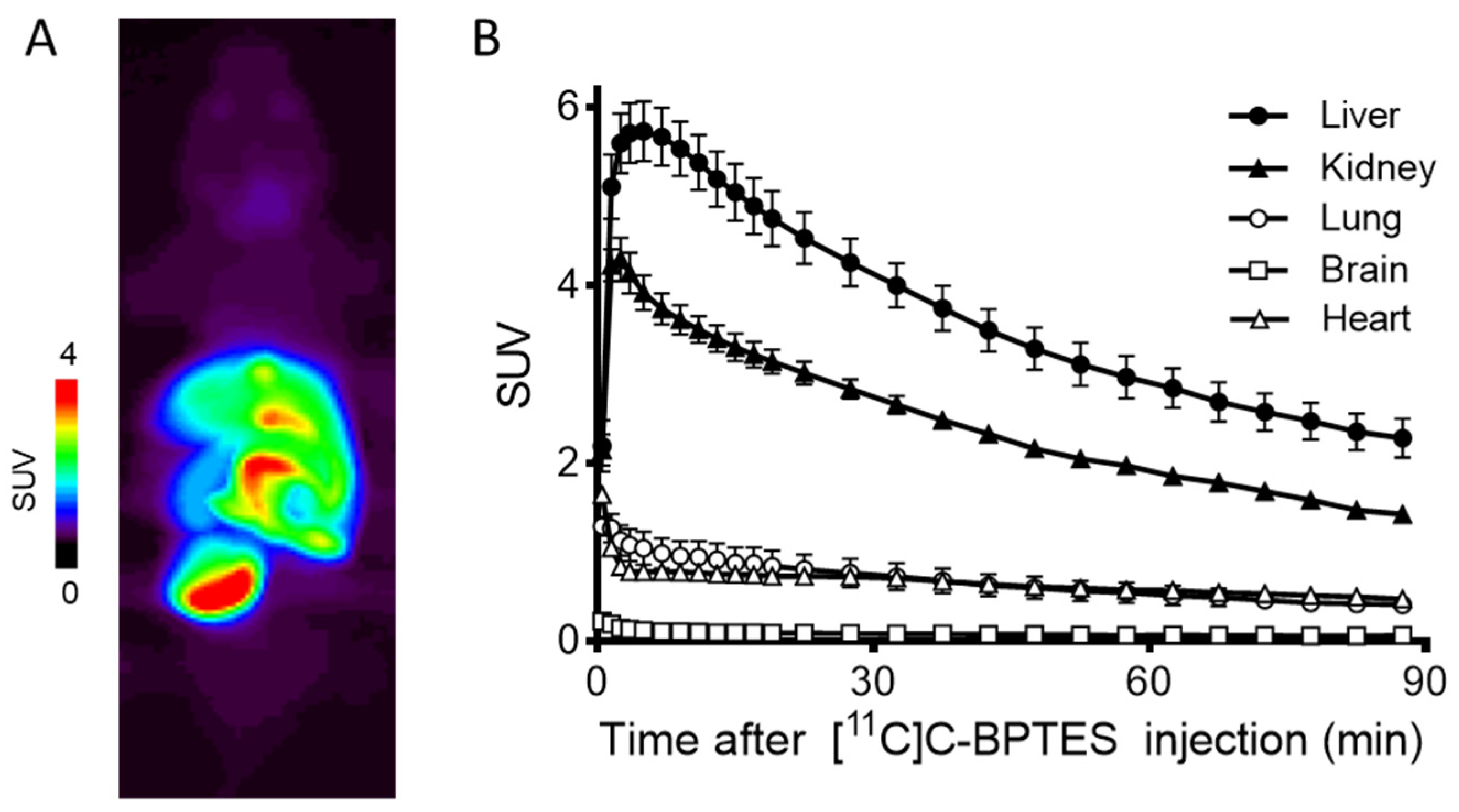 Pharmaceuticals 16 00963 g006 Pharmaceuticals 16 00963 g006