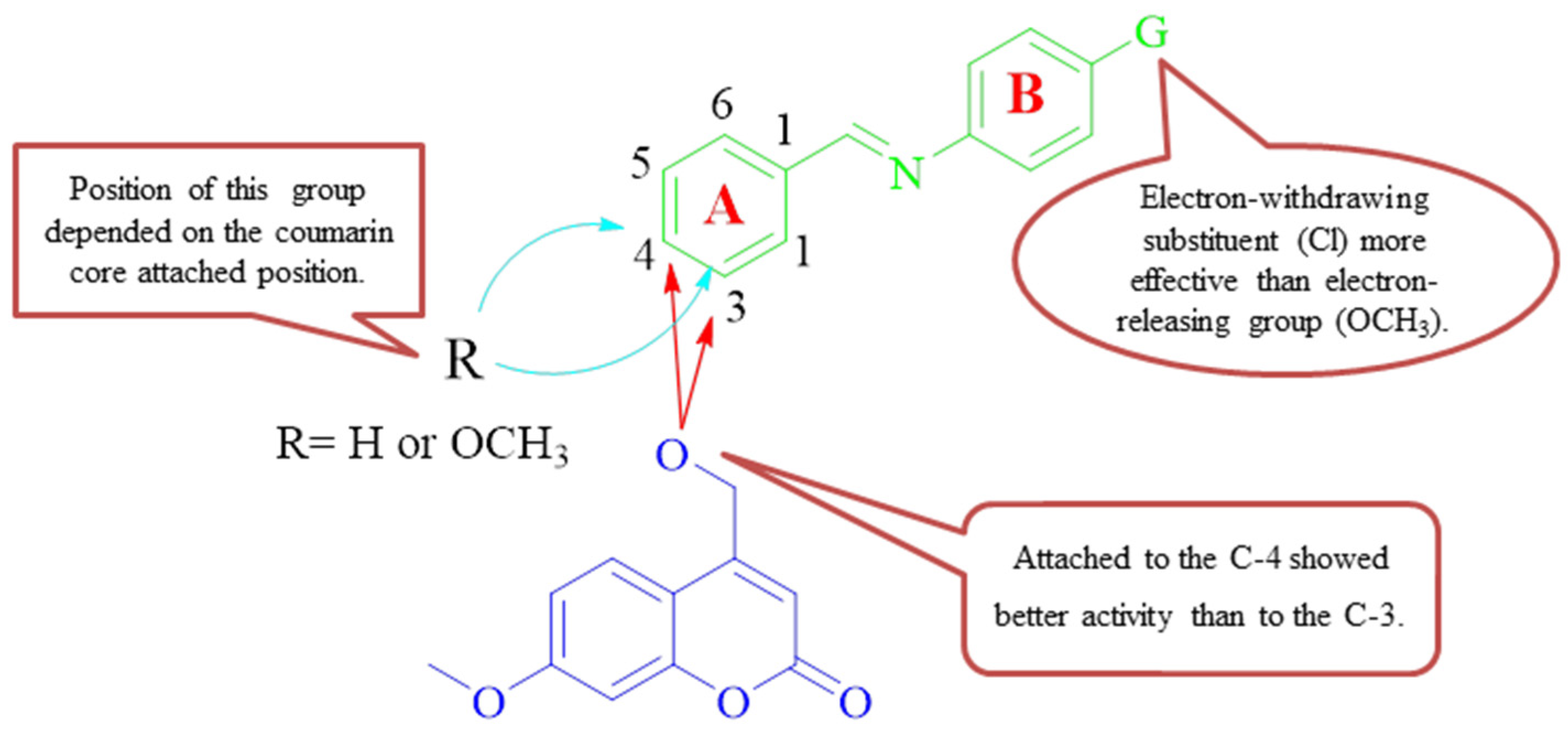 Pharmaceuticals 16 00971 g002