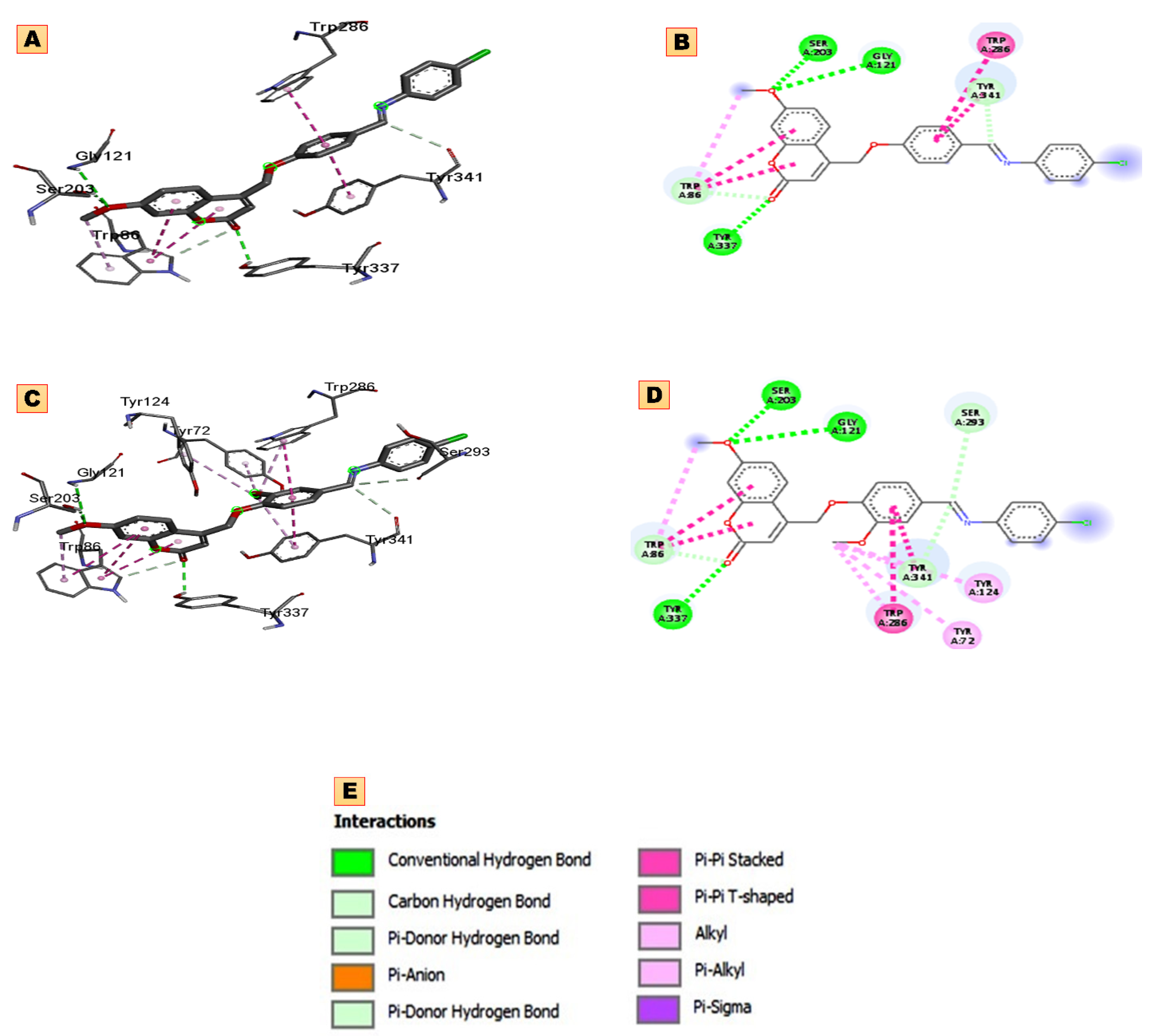 Pharmaceuticals 16 00971 g003