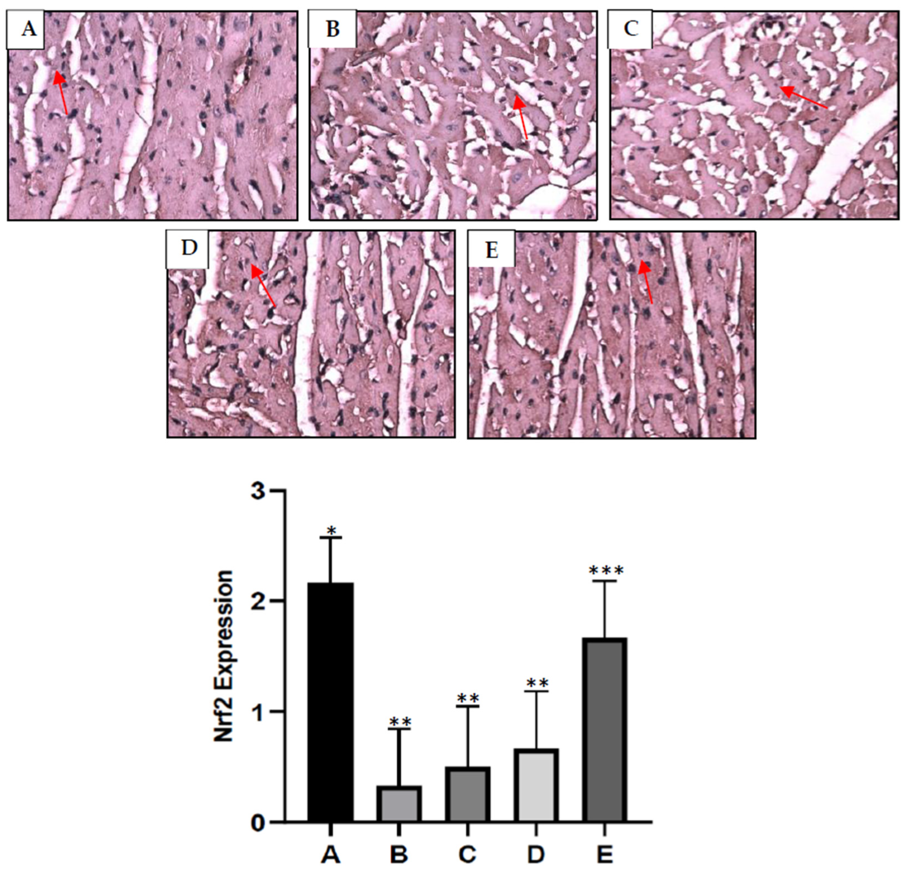 Pharmaceuticals 16 00973 g003 Pharmaceuticals 16 00973 g003