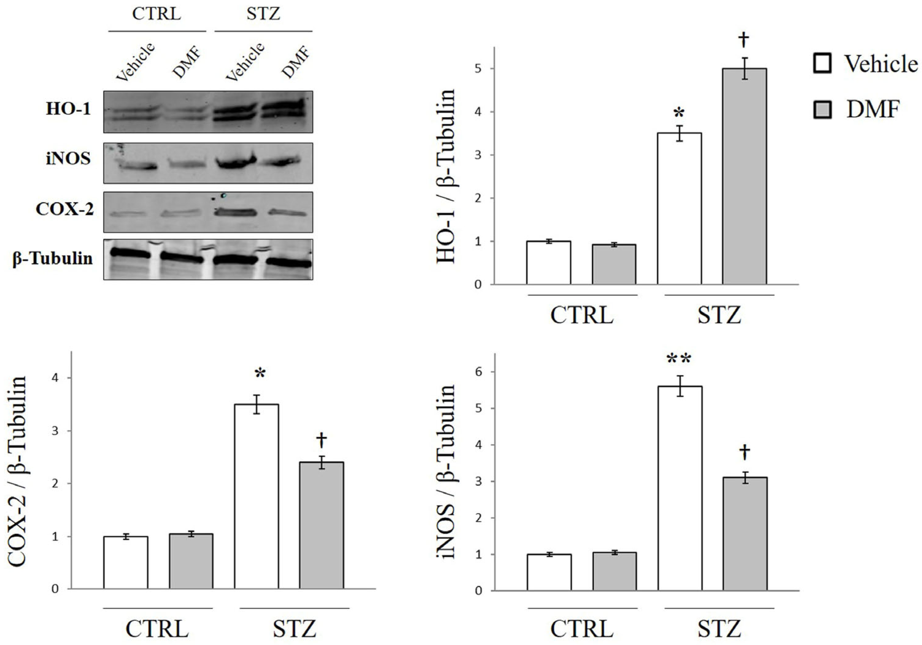 Pharmaceuticals 16 00974 g001 Pharmaceuticals 16 00974 g001
