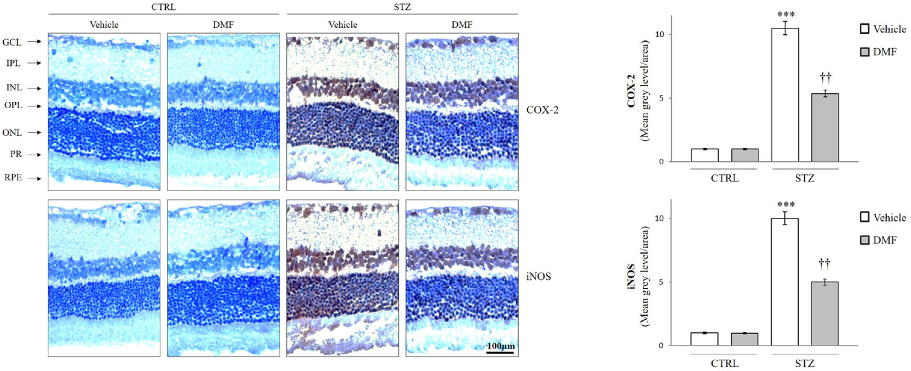 Pharmaceuticals 16 00974 g003 Pharmaceuticals 16 00974 g003