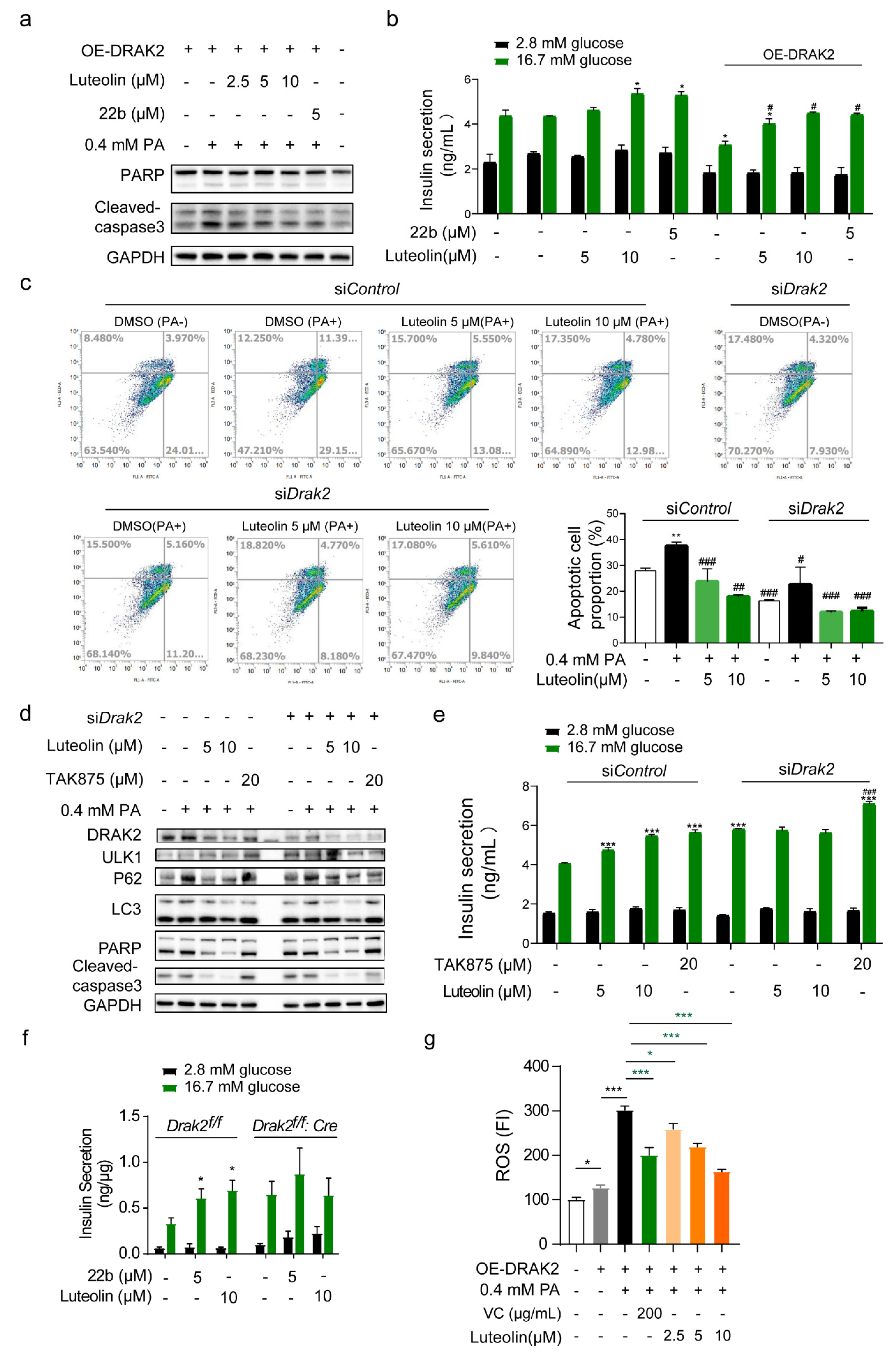 Pharmaceuticals 16 00975 g003