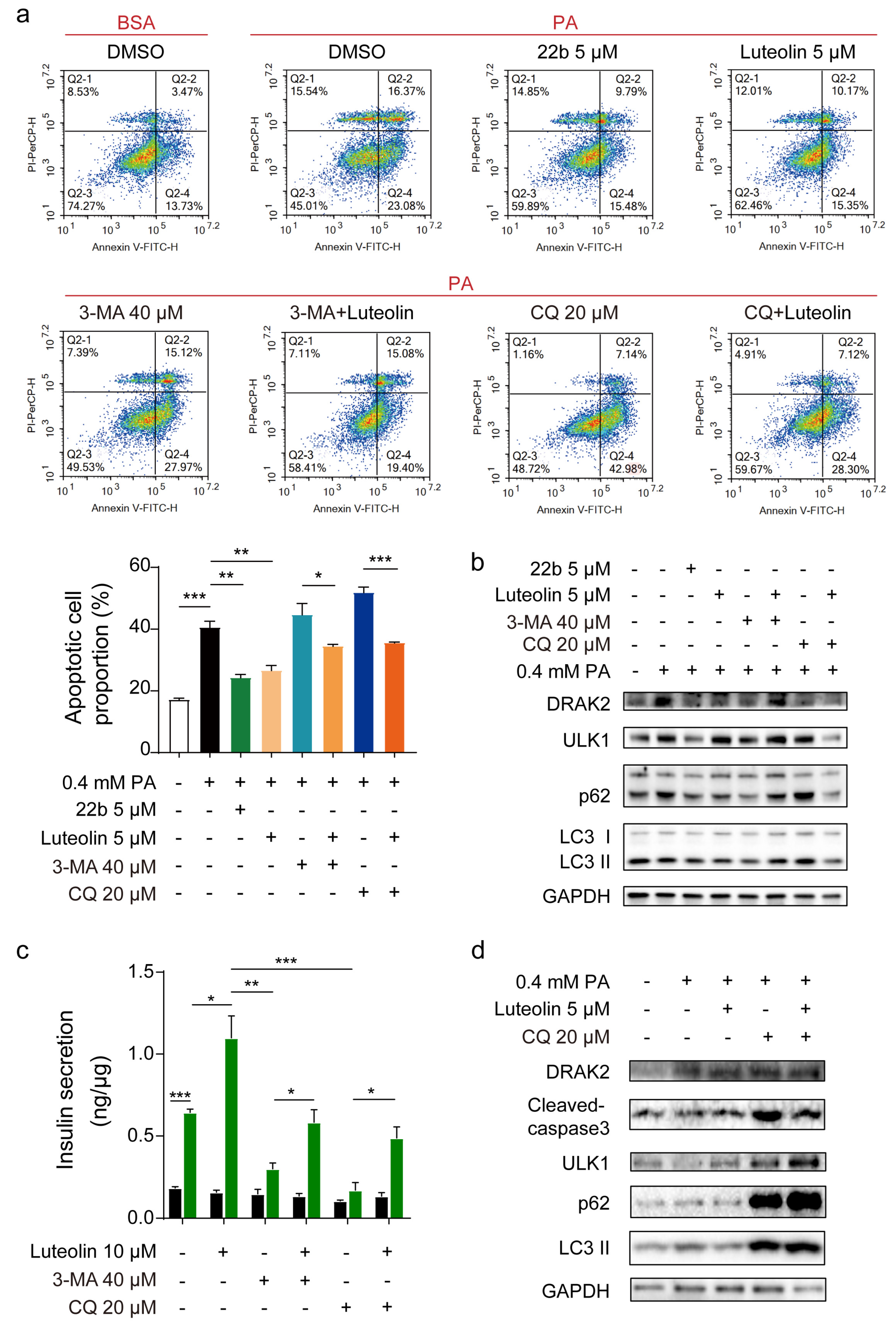 Pharmaceuticals 16 00975 g004