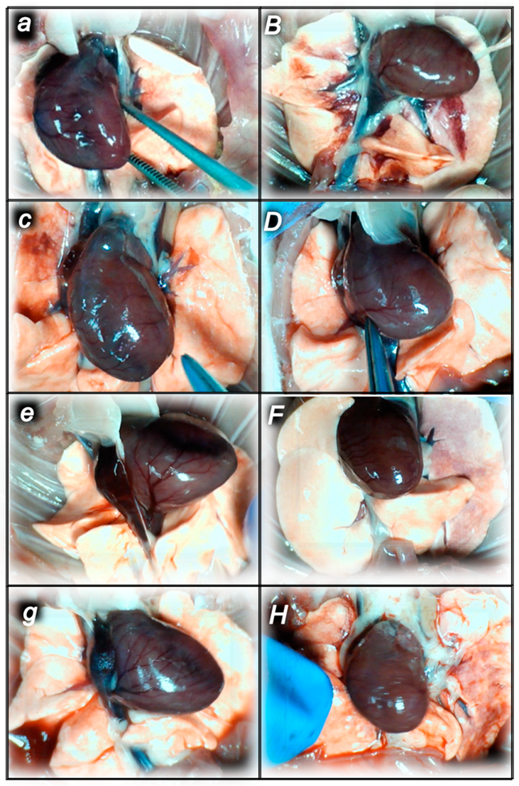 Pharmaceuticals 16 00977 g005 Pharmaceuticals 16 00977 g005