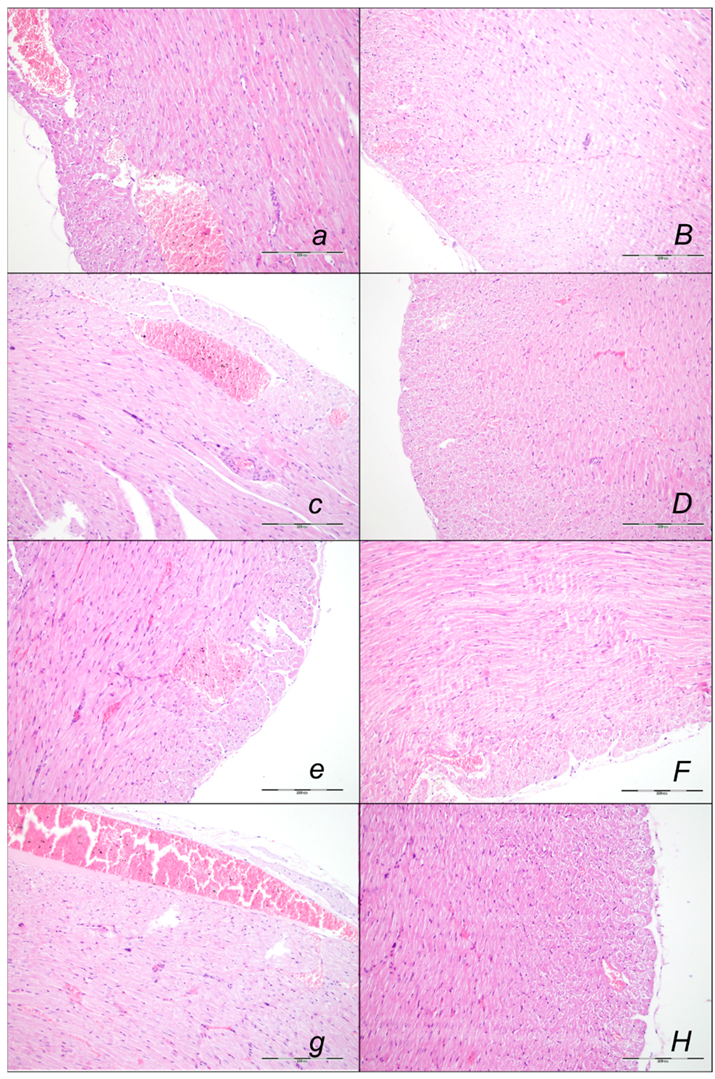 Pharmaceuticals 16 00977 g008 Pharmaceuticals 16 00977 g008