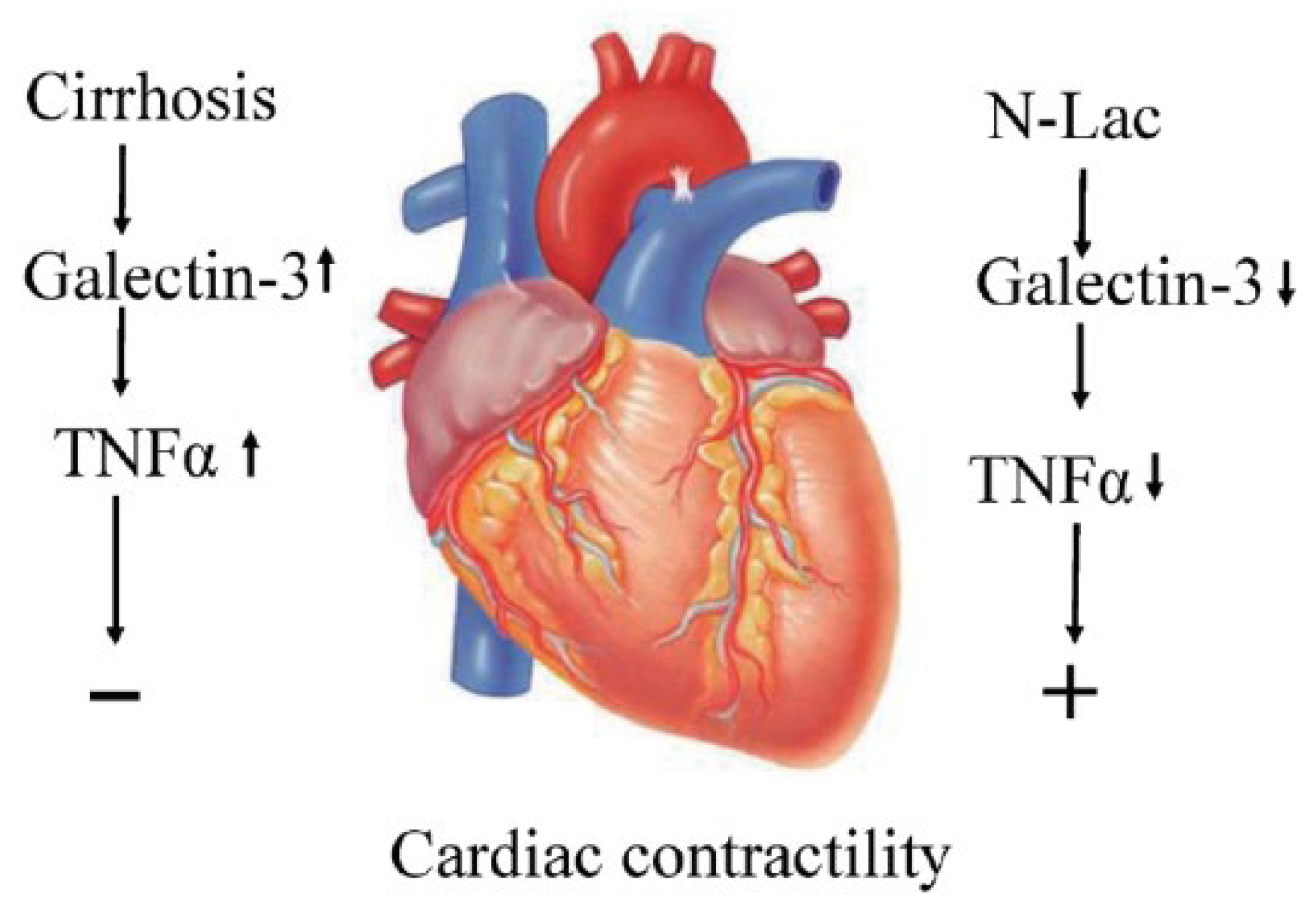 Pharmaceuticals 16 00978 g003 Pharmaceuticals 16 00978 g003