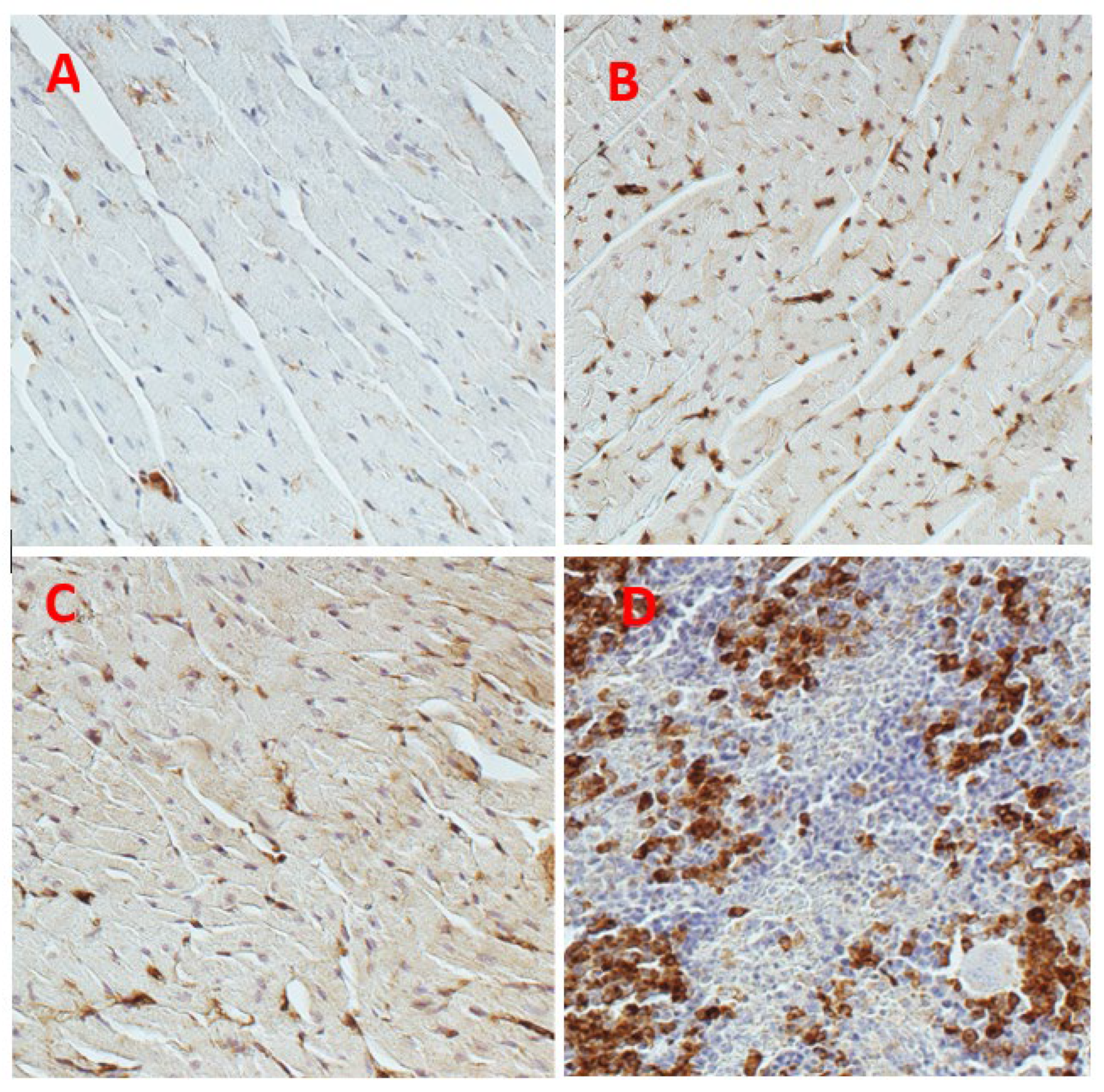 Pharmaceuticals 16 00978 g004 Pharmaceuticals 16 00978 g004