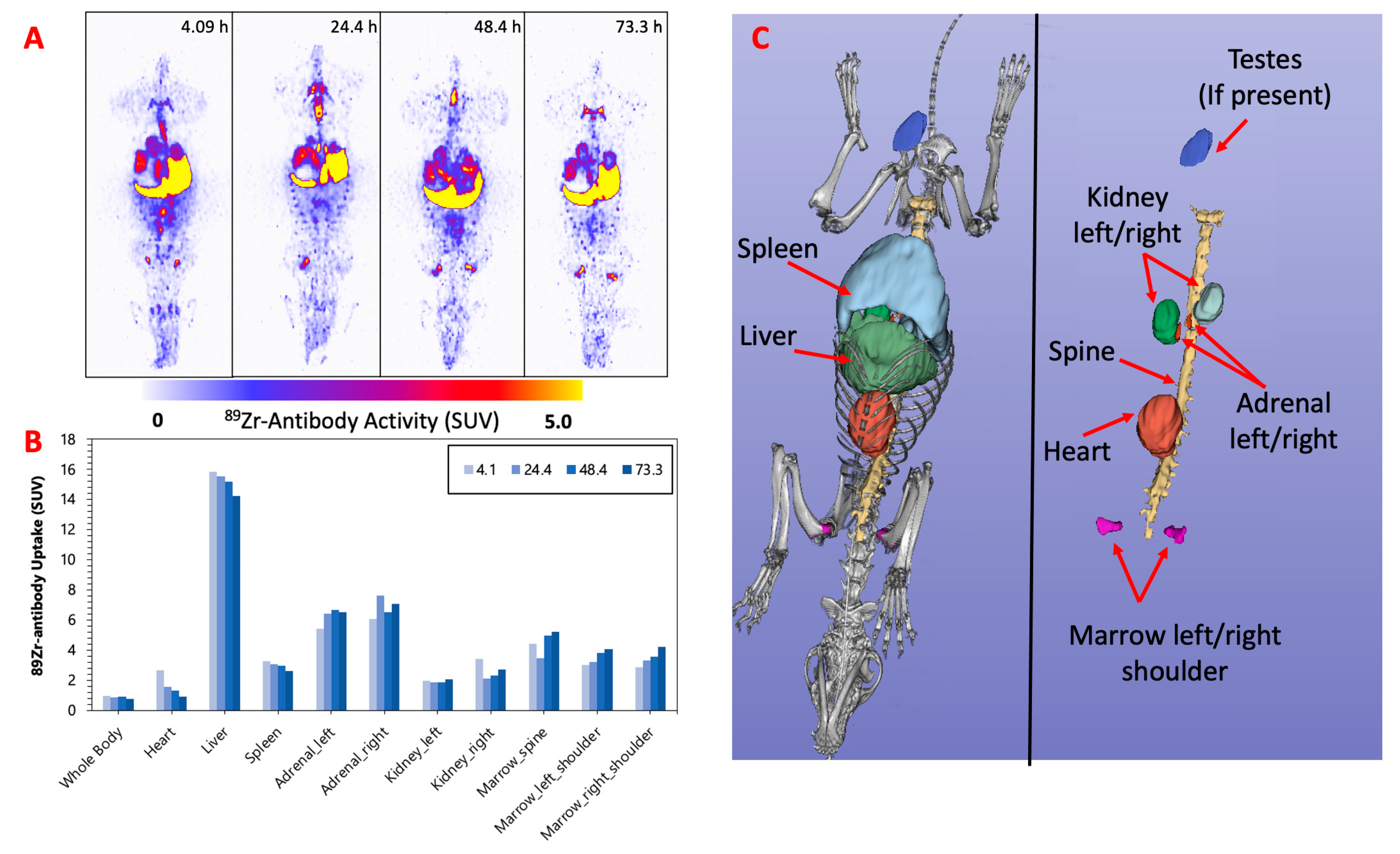 Pharmaceuticals 16 00979 g002