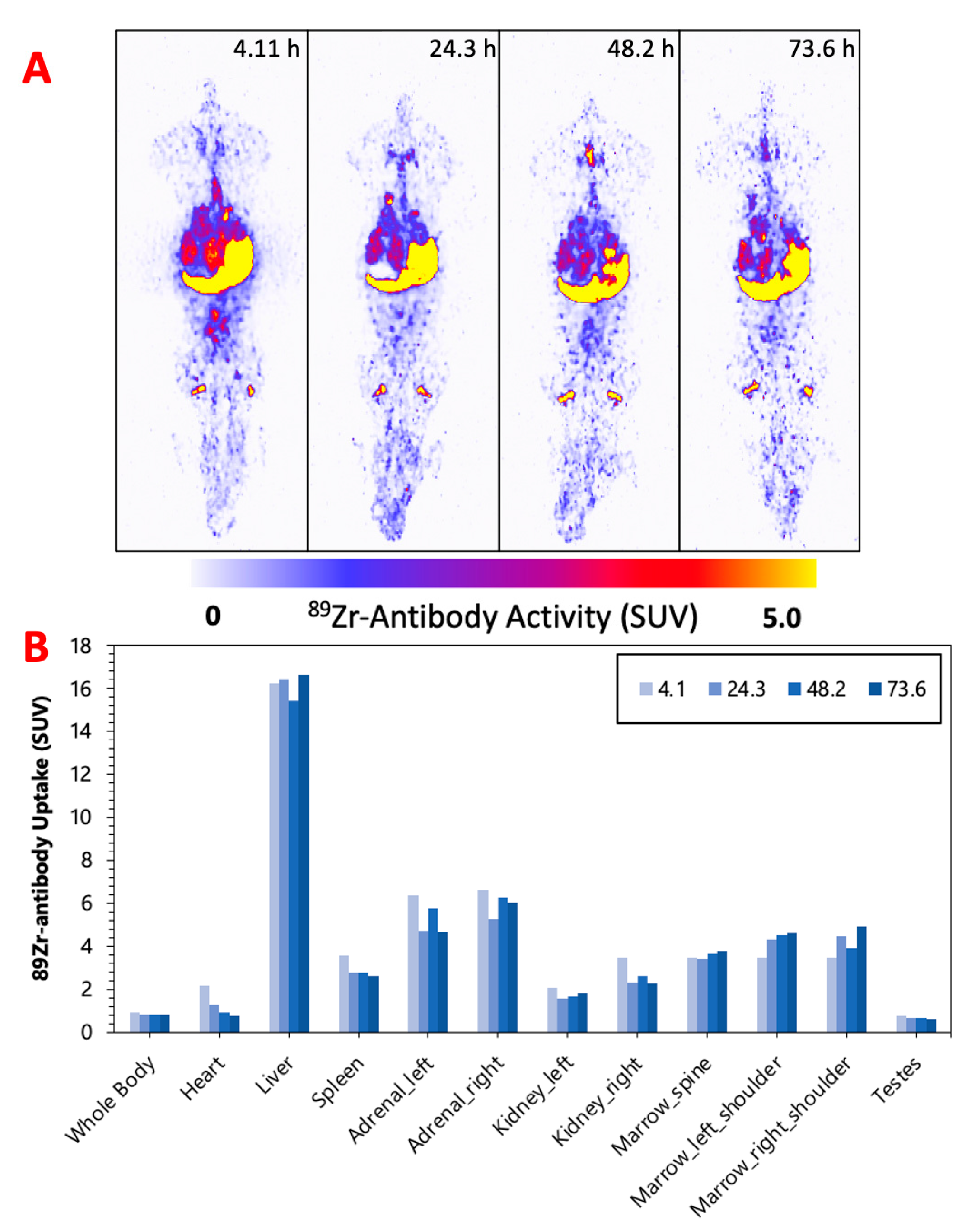 Pharmaceuticals 16 00979 g003