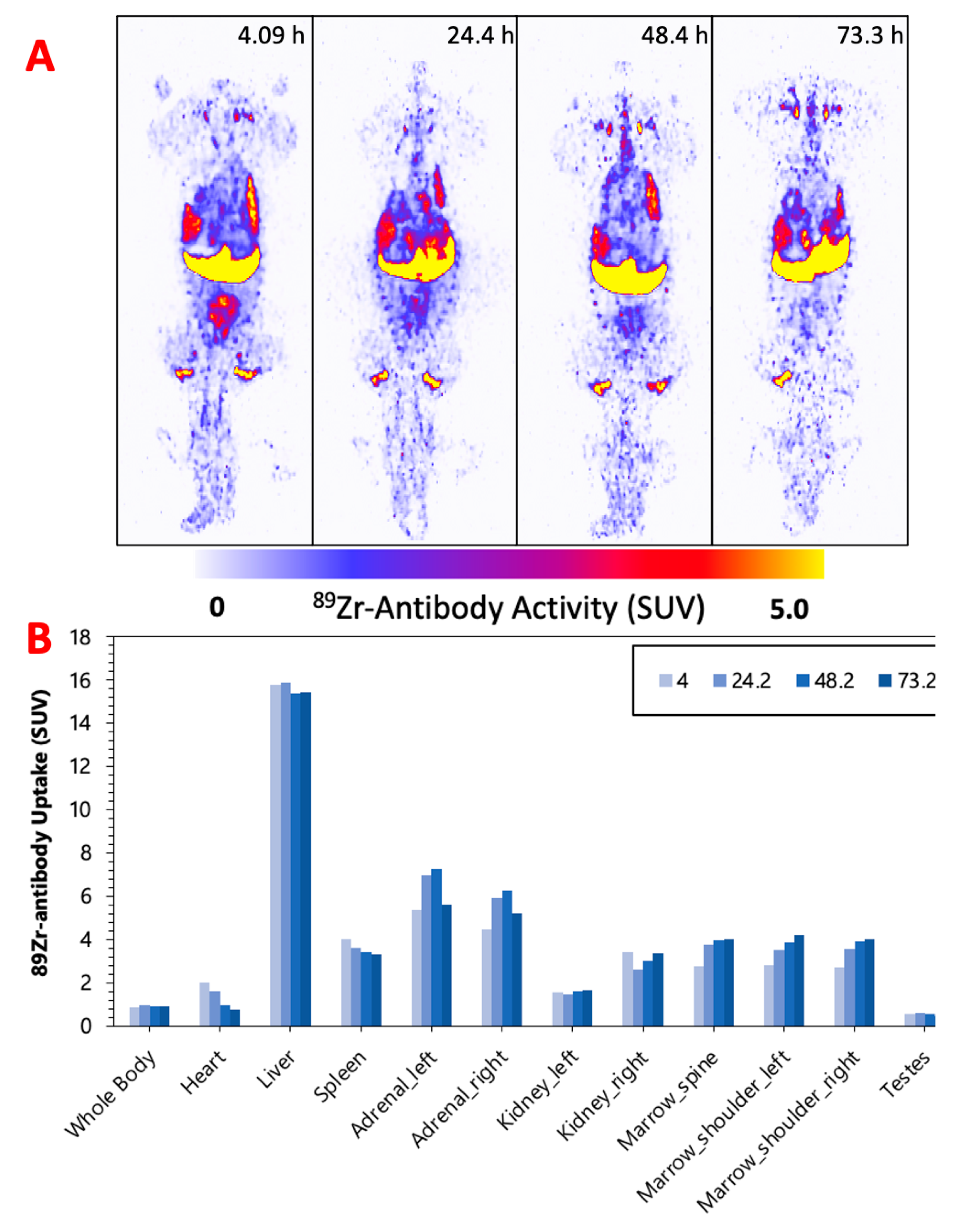 Pharmaceuticals 16 00979 g004