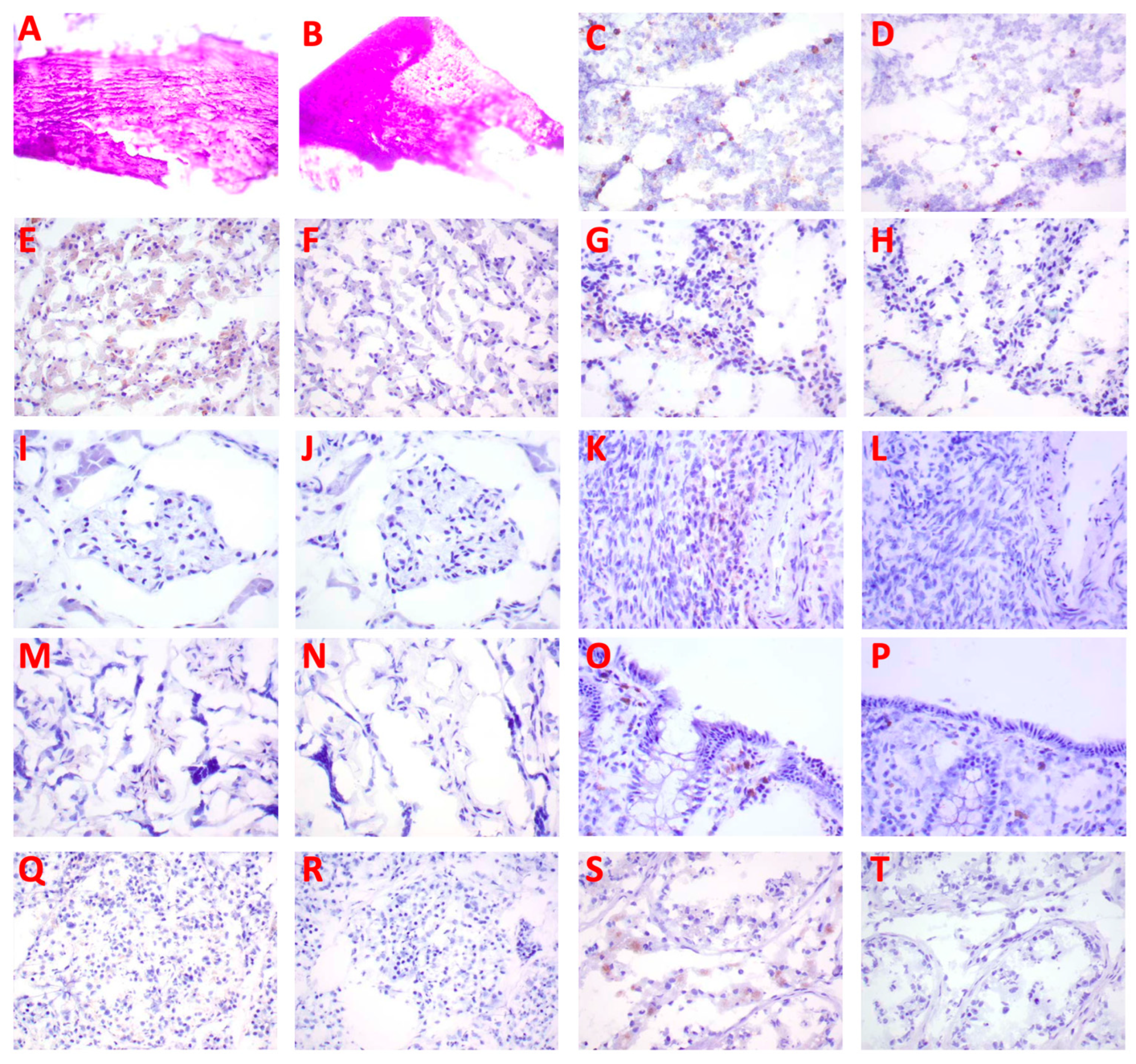 Pharmaceuticals 16 00979 g005