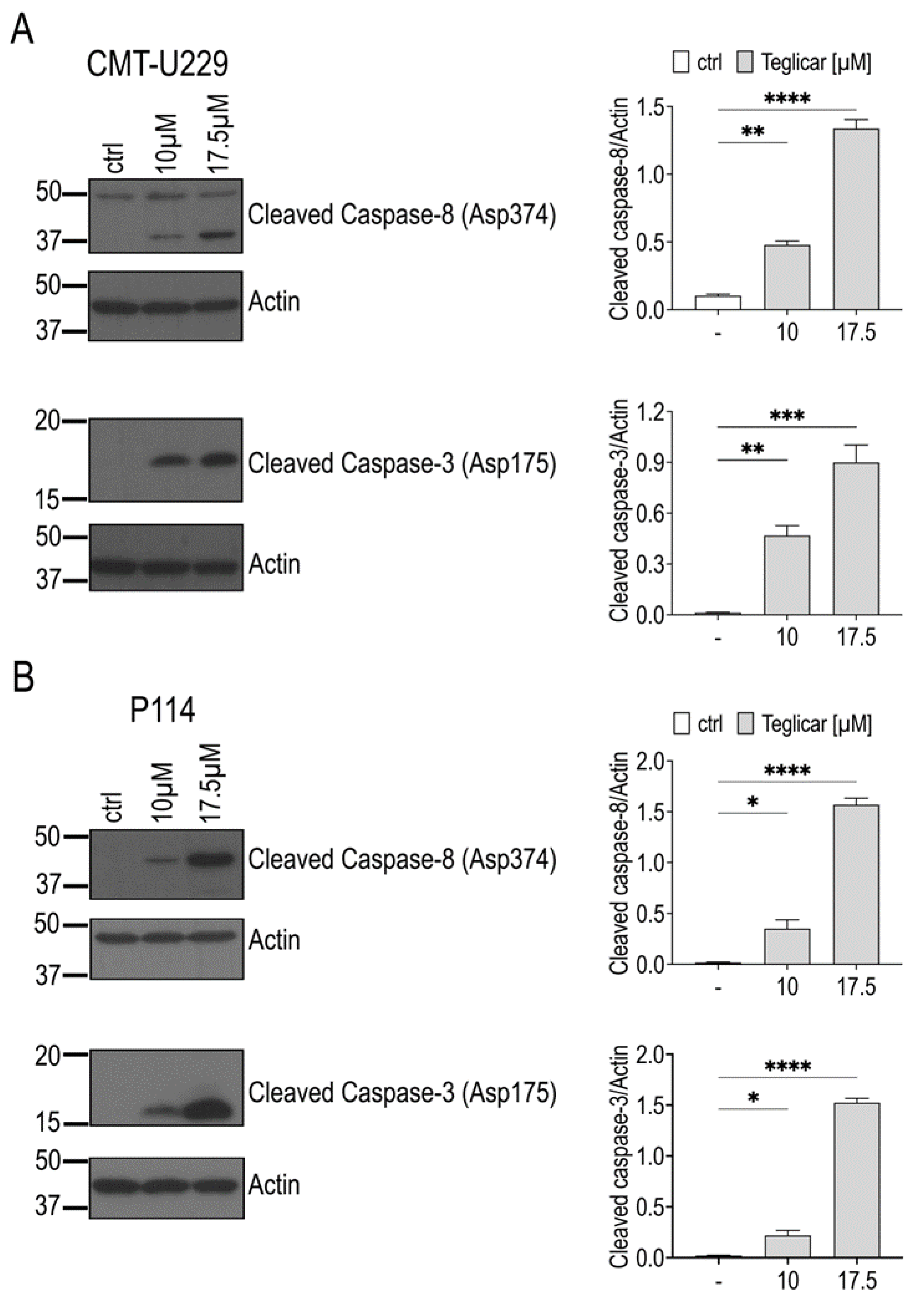 Pharmaceuticals 16 00987 g006 Pharmaceuticals 16 00987 g006