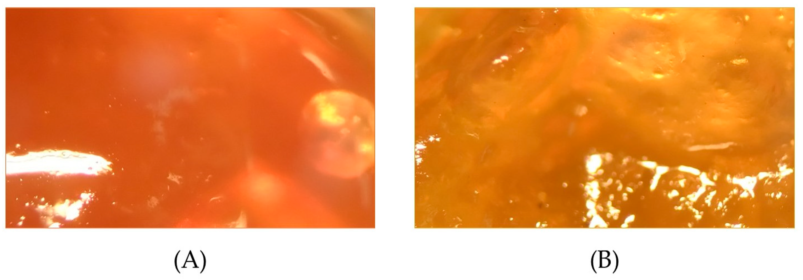 Pharmaceuticals 16 00990 g001