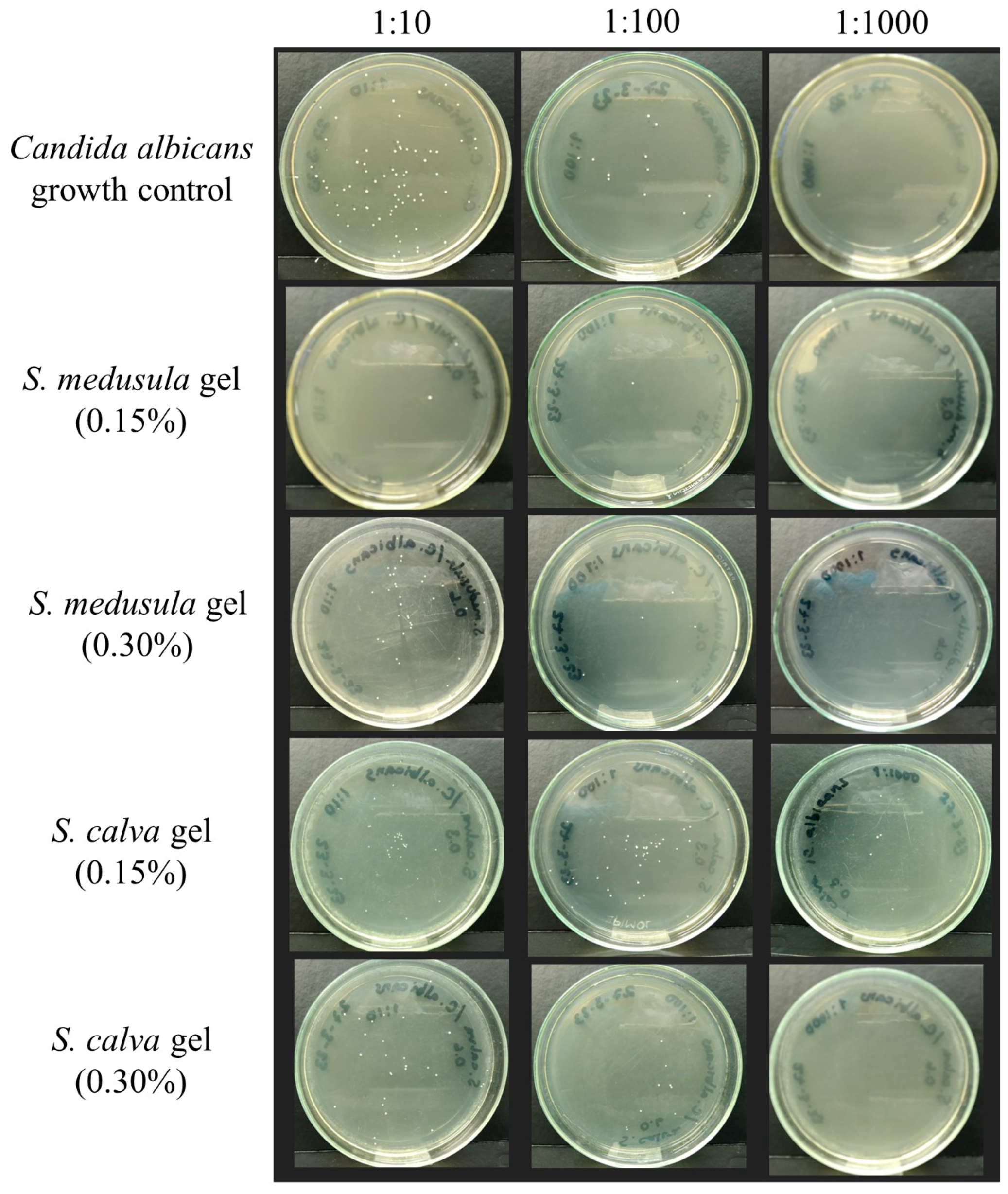 Pharmaceuticals 16 00990 g004