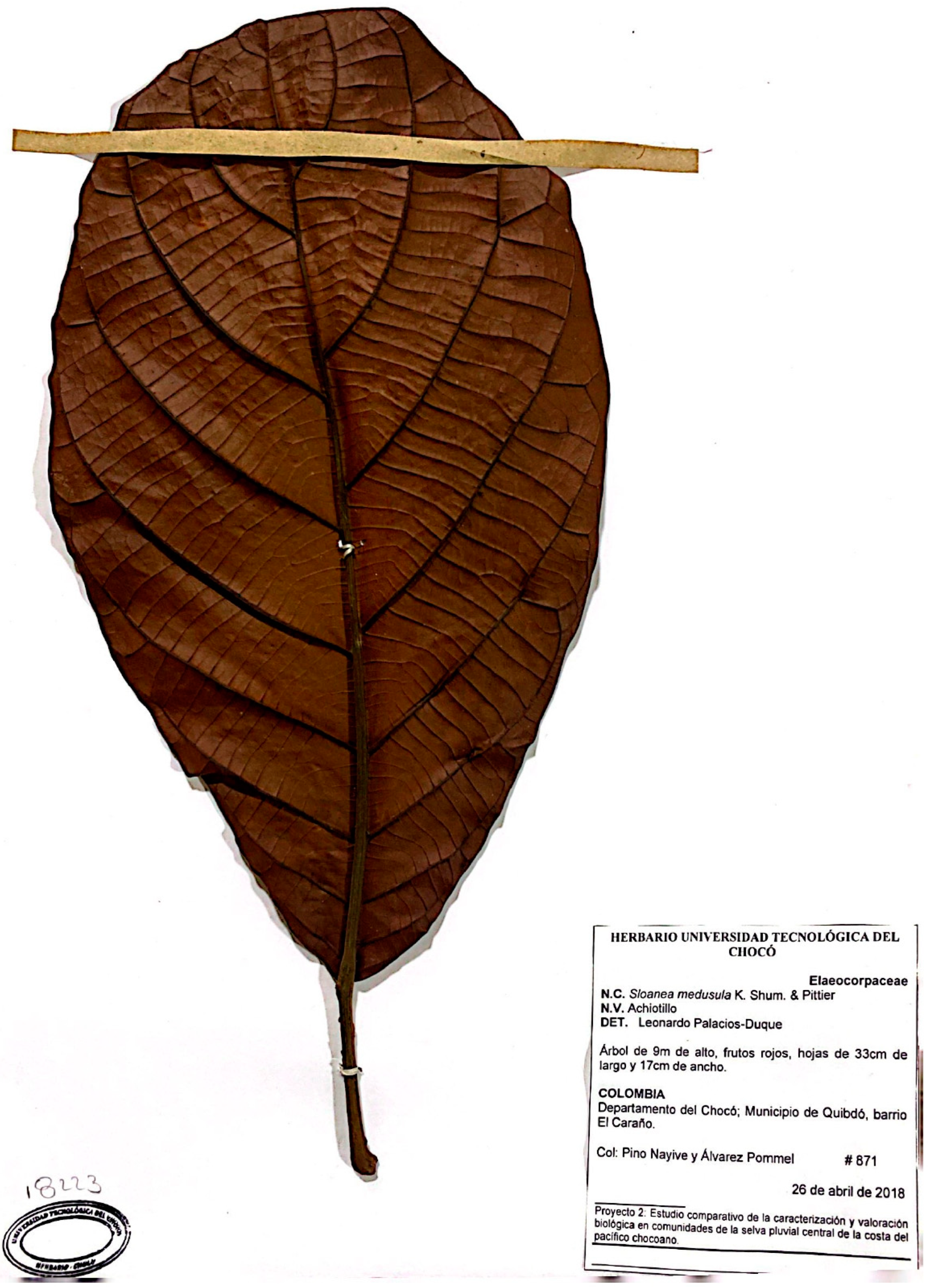 Pharmaceuticals 16 00990 g006