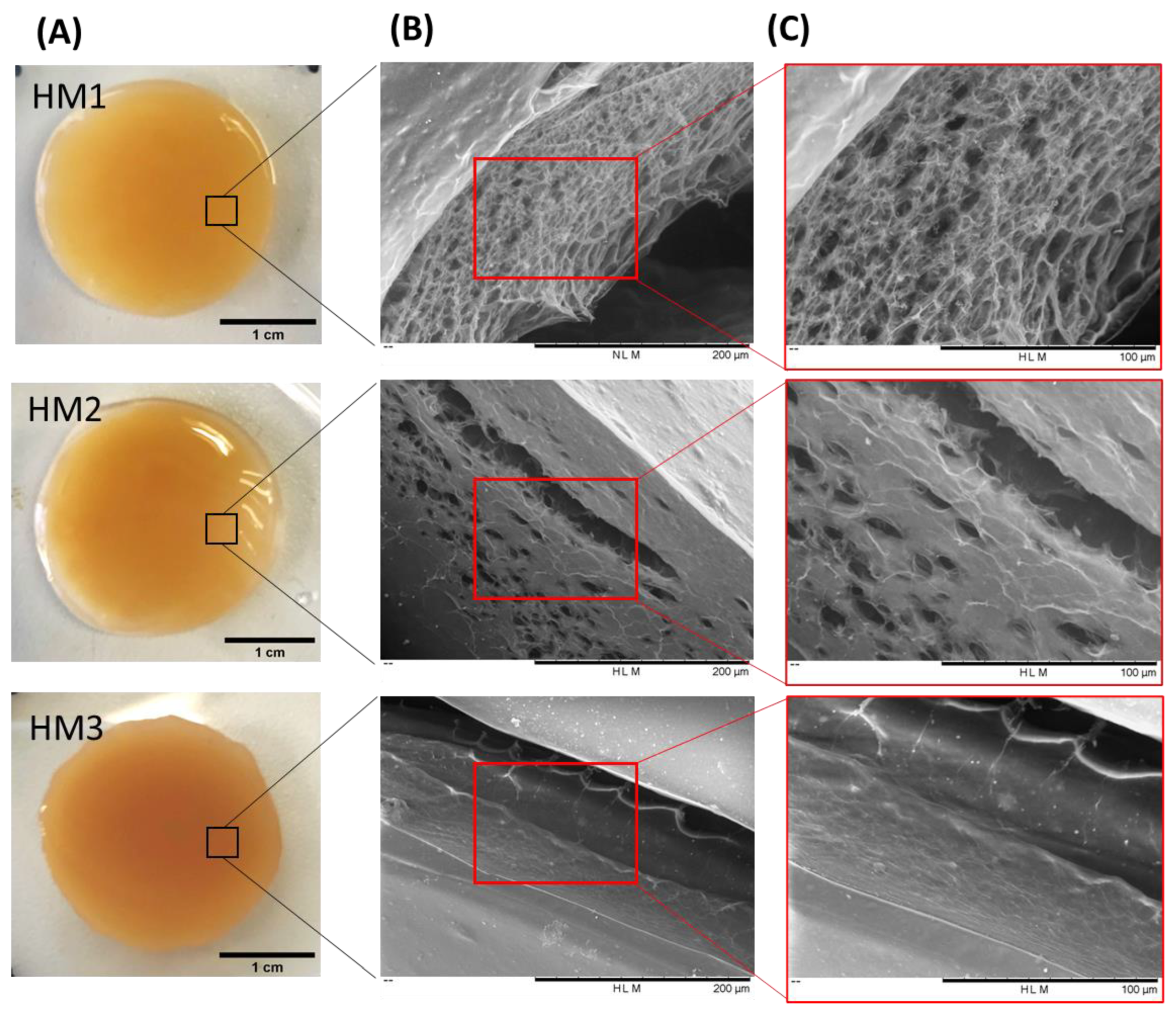 Pharmaceuticals 16 00991 g003 Pharmaceuticals 16 00991 g003