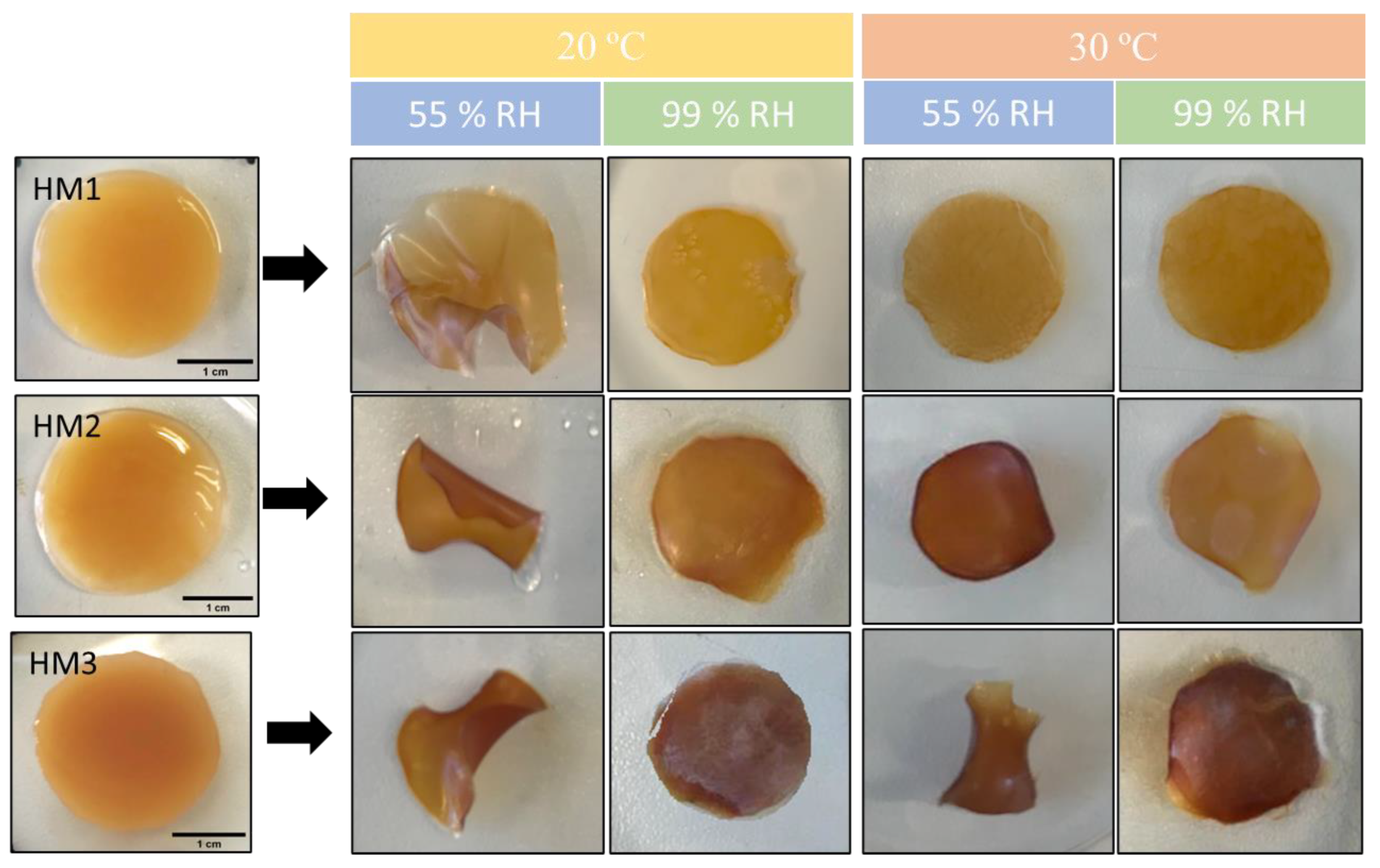 Pharmaceuticals 16 00991 g008 Pharmaceuticals 16 00991 g008
