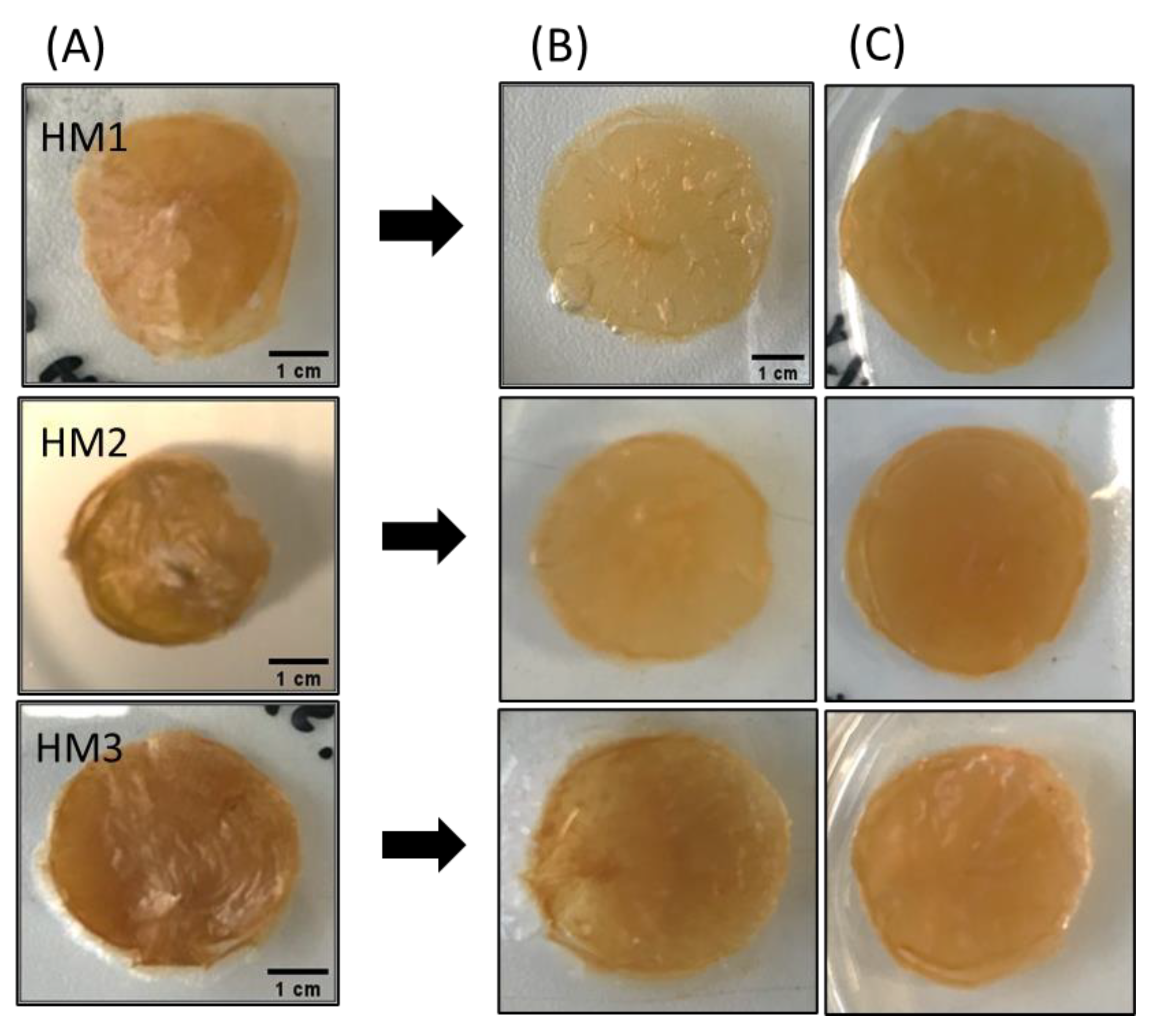 Pharmaceuticals 16 00991 g010 Pharmaceuticals 16 00991 g010