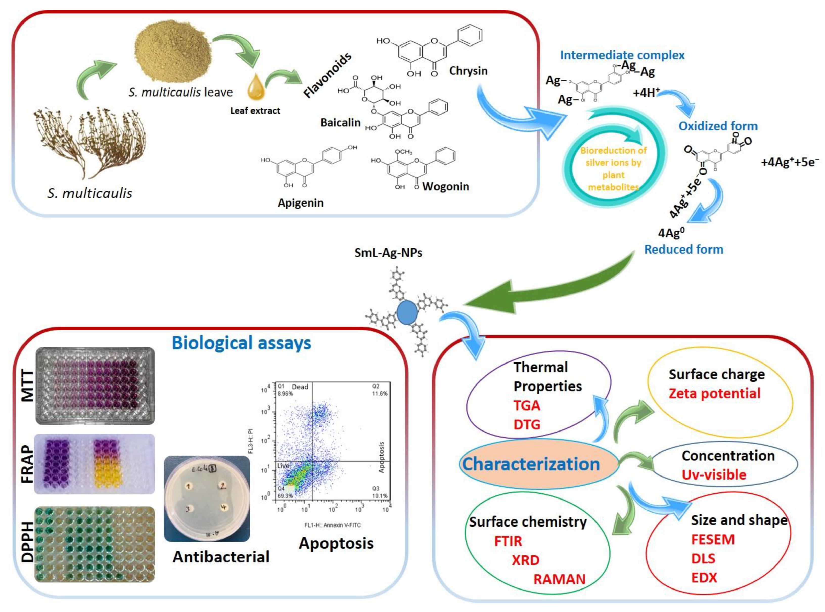 Pharmaceuticals 16 00992 g001