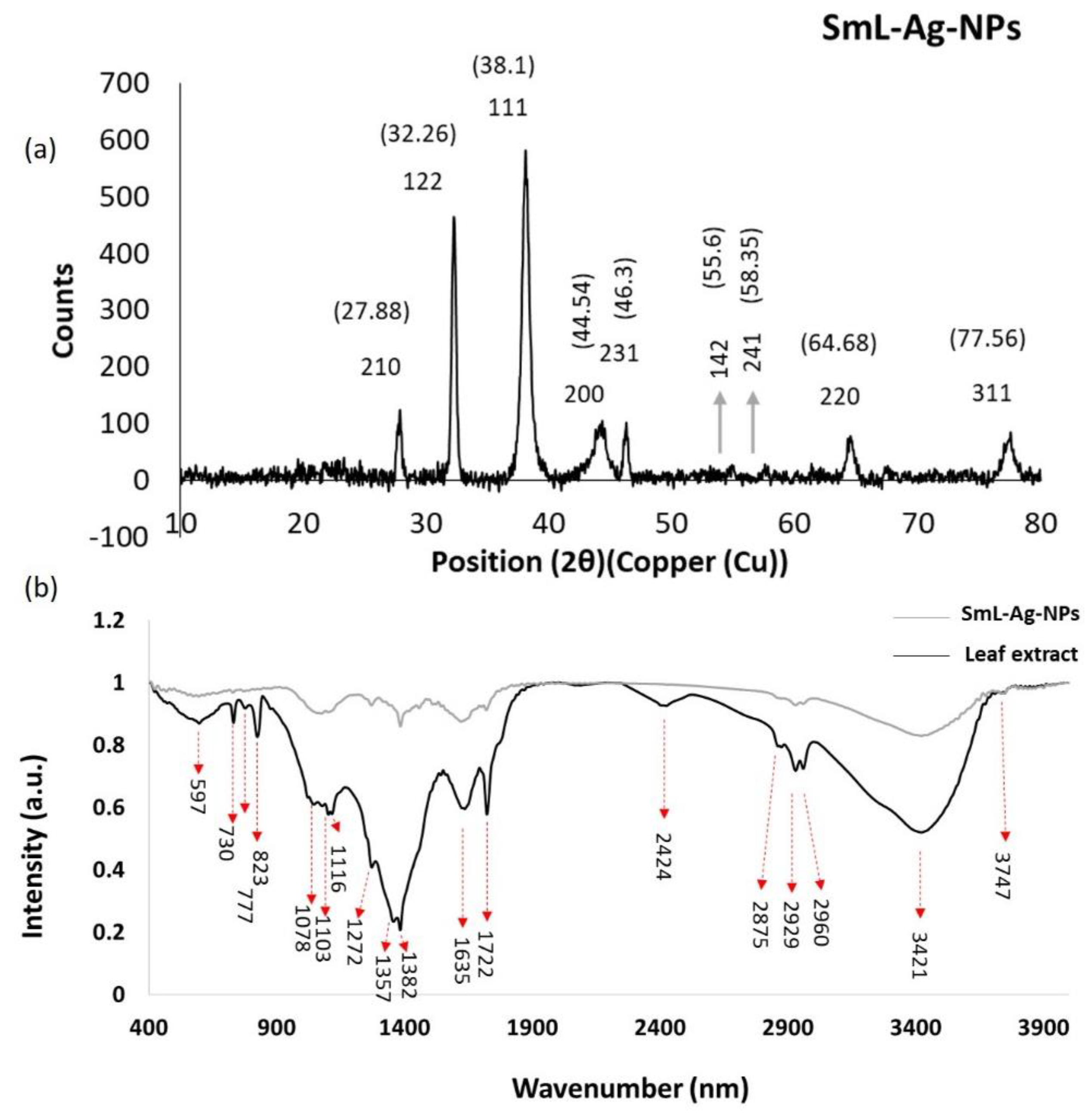 Pharmaceuticals 16 00992 g006