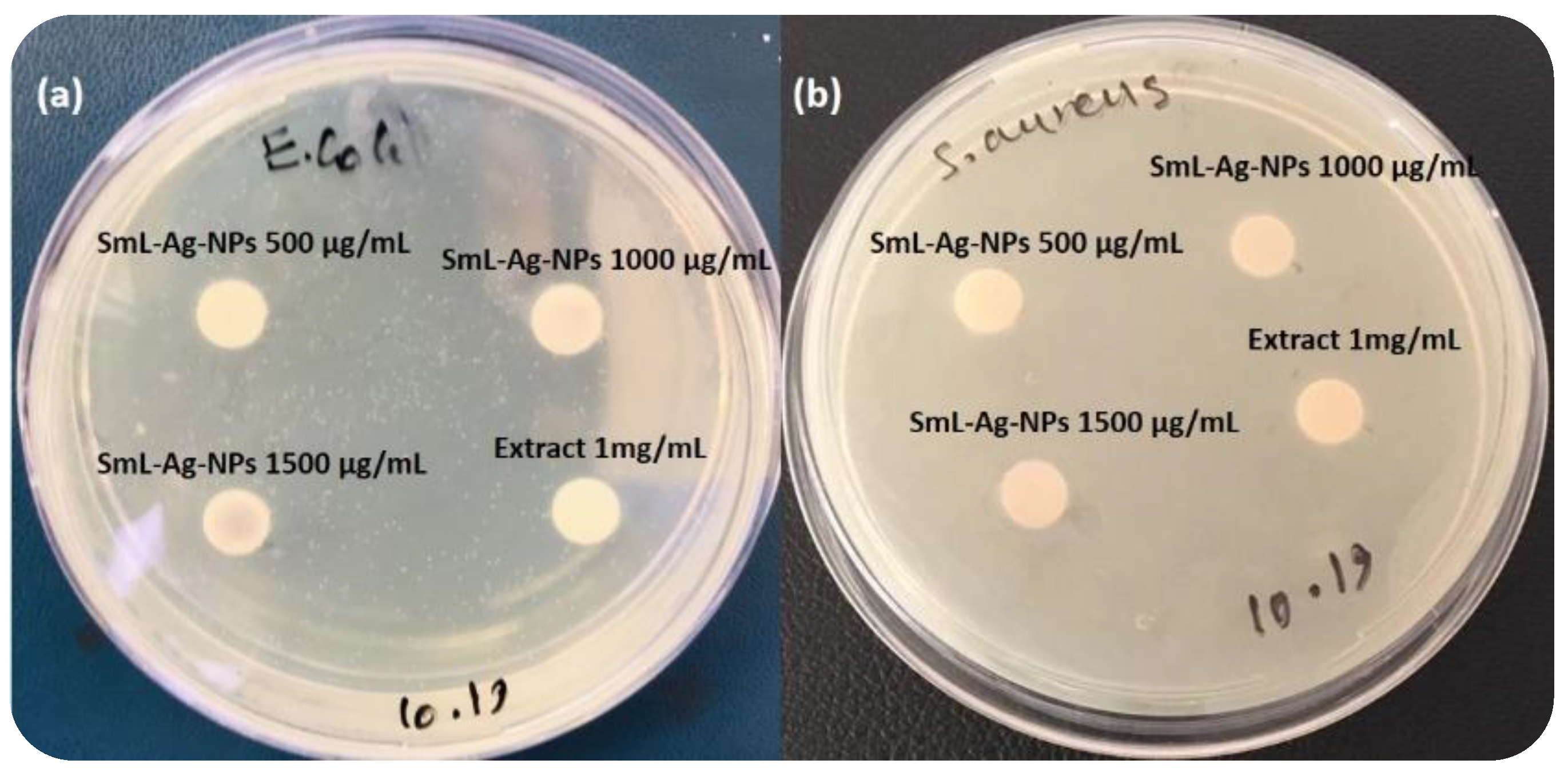 Pharmaceuticals 16 00992 g008