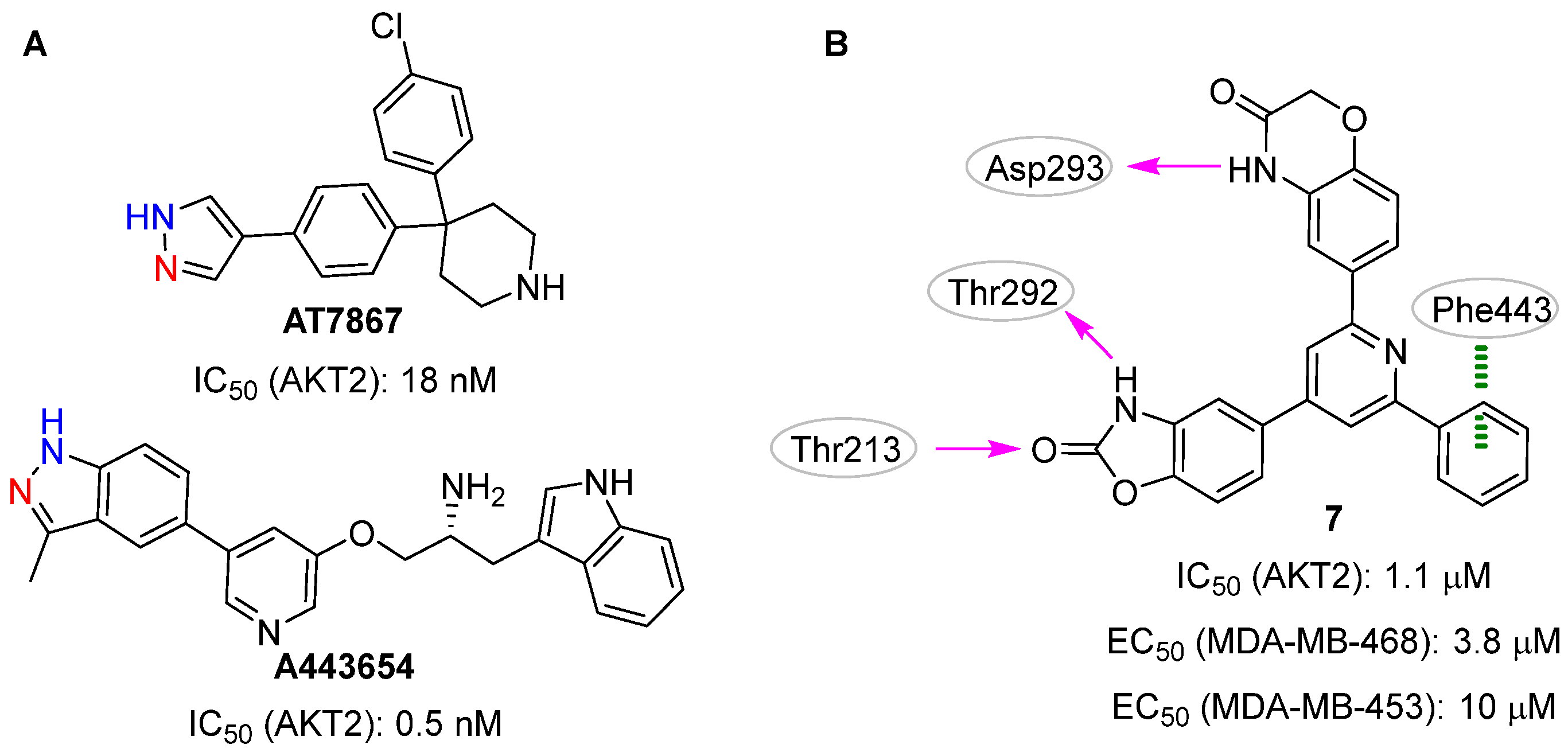 Pharmaceuticals 16 00993 g004 Pharmaceuticals 16 00993 g004