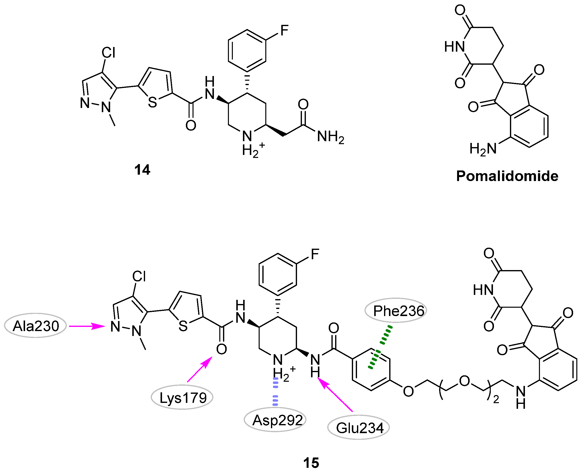 Pharmaceuticals 16 00993 g007 Pharmaceuticals 16 00993 g007