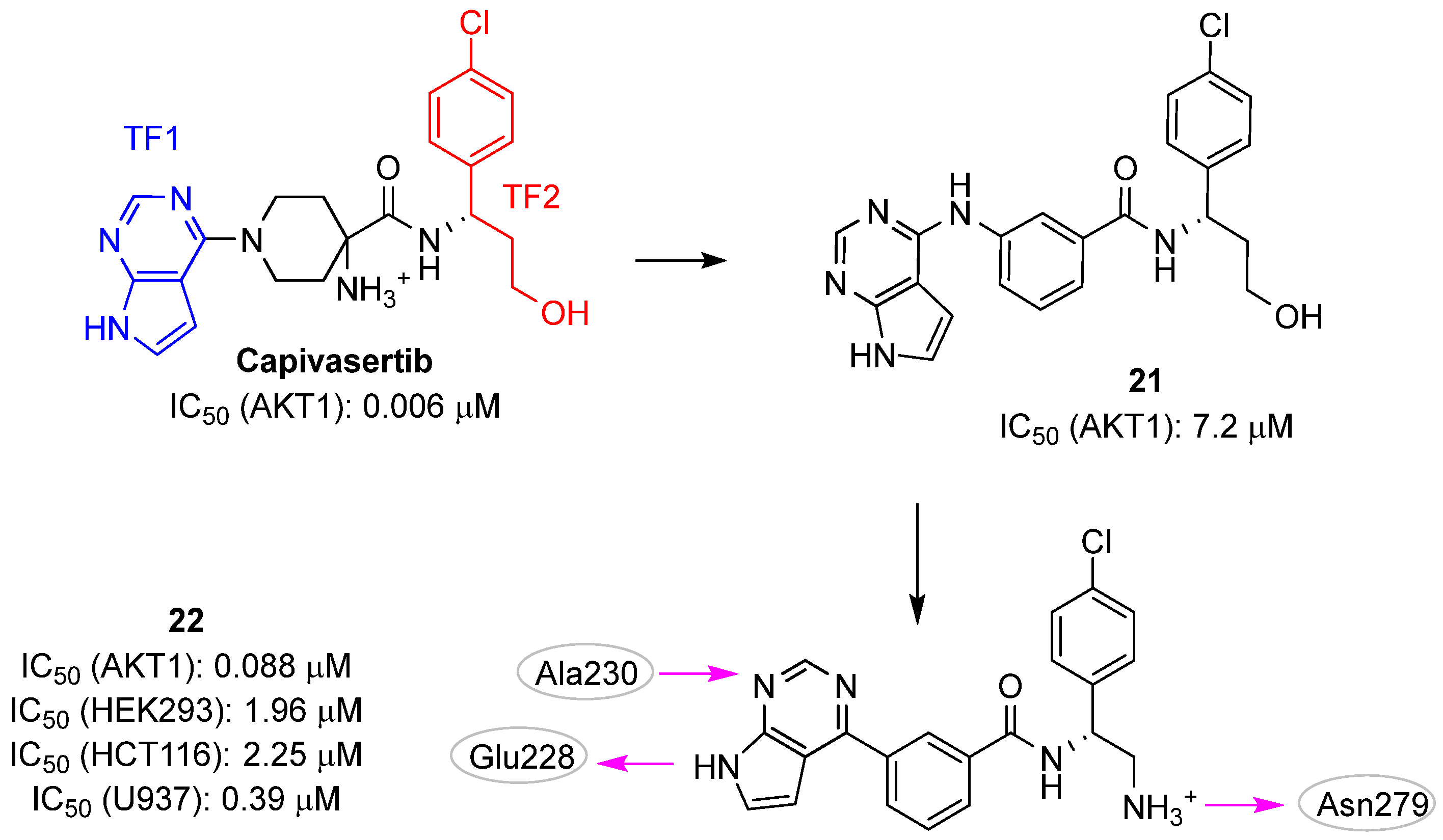 Pharmaceuticals 16 00993 g010 Pharmaceuticals 16 00993 g010