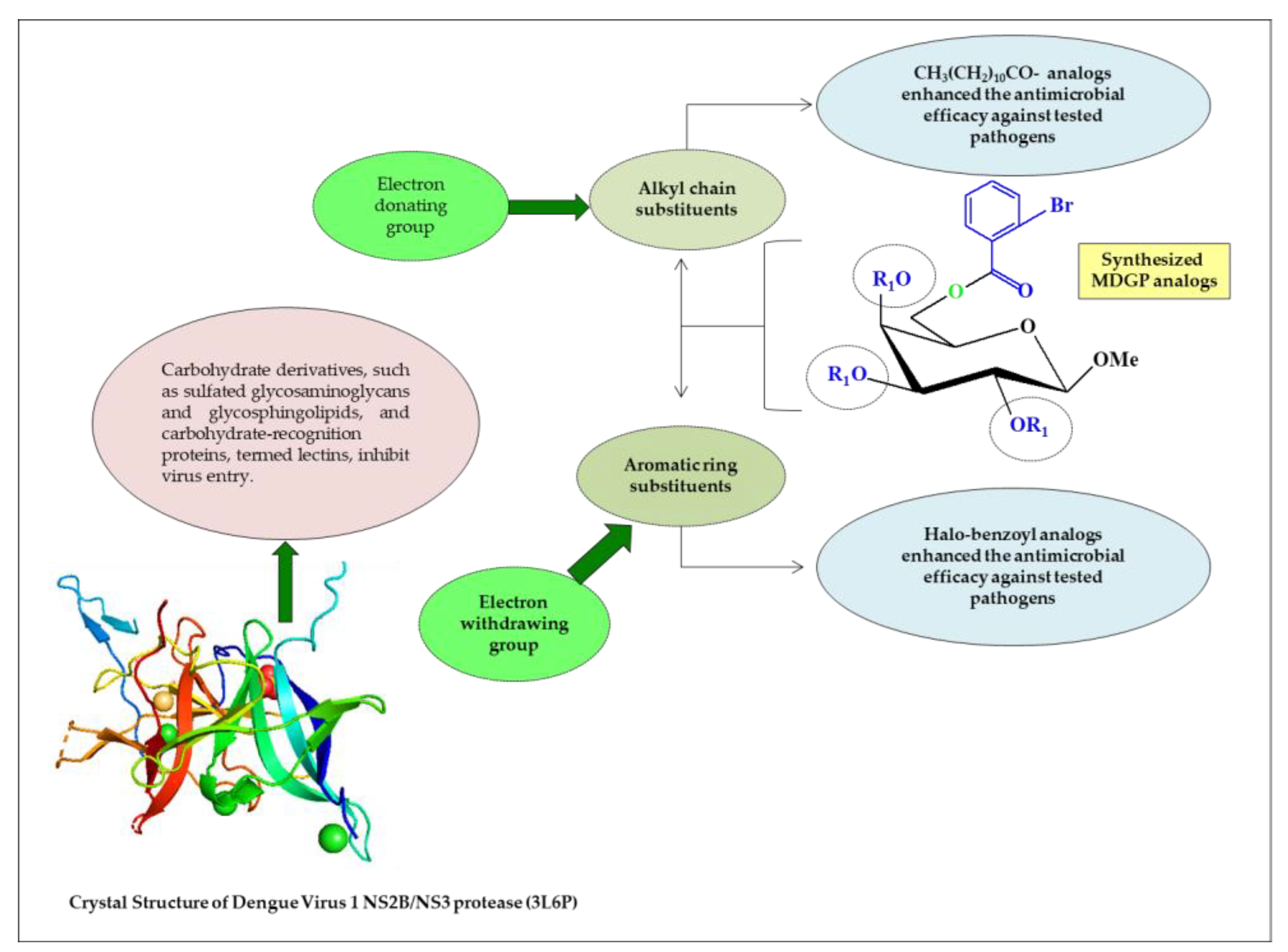 Pharmaceuticals 16 00998 g006 Pharmaceuticals 16 00998 g006