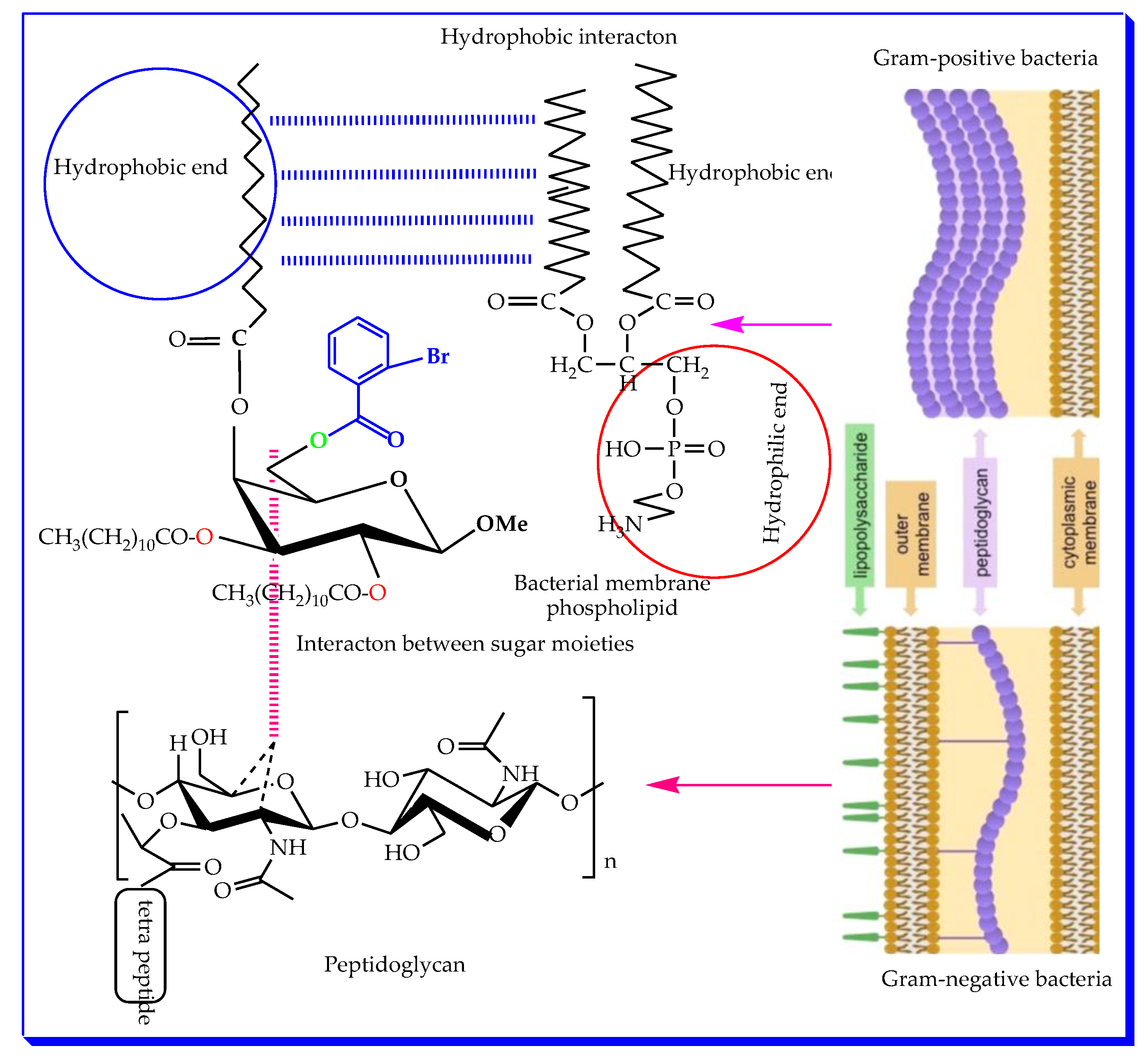 Pharmaceuticals 16 00998 g007 Pharmaceuticals 16 00998 g007