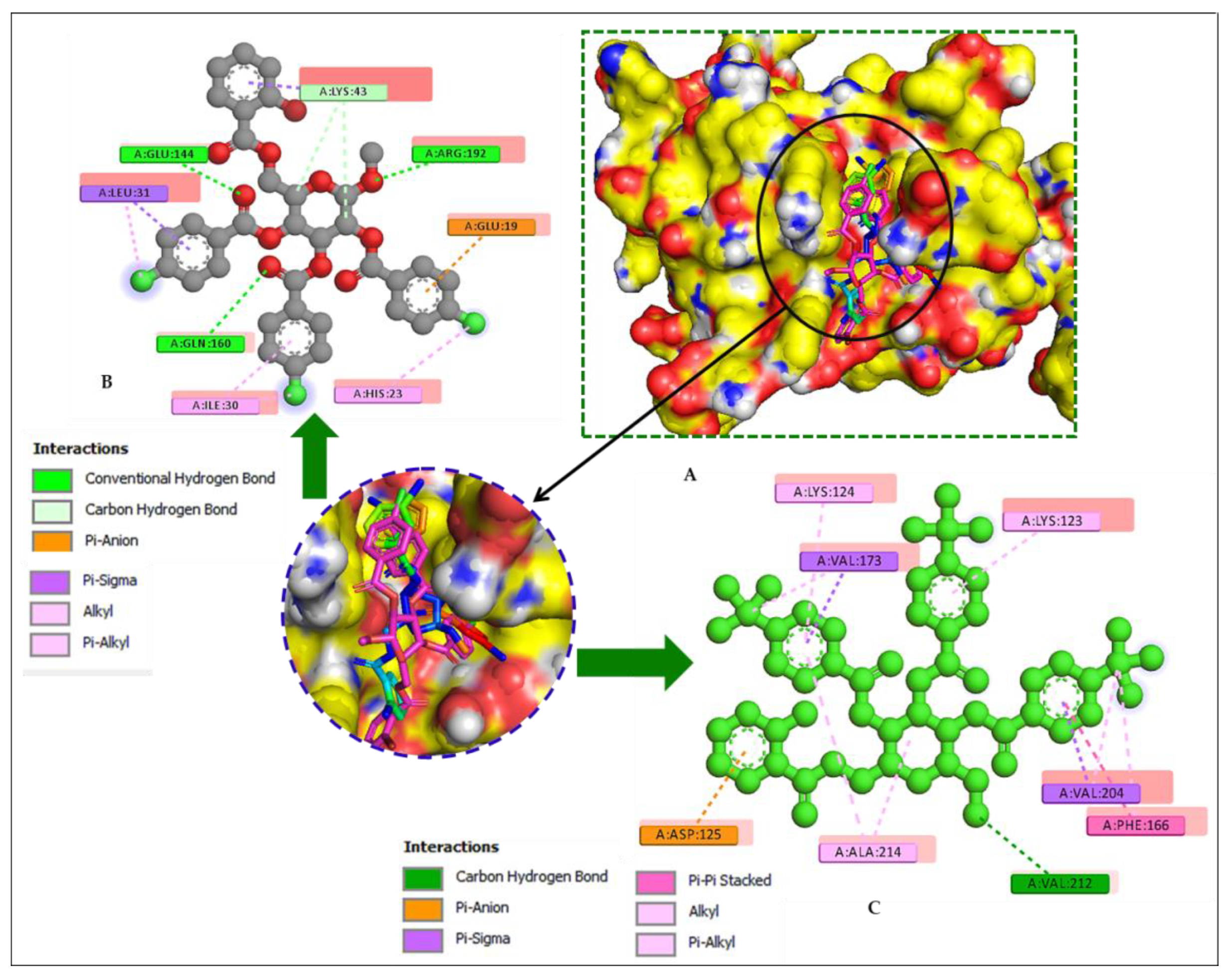 Pharmaceuticals 16 00998 g010 Pharmaceuticals 16 00998 g010